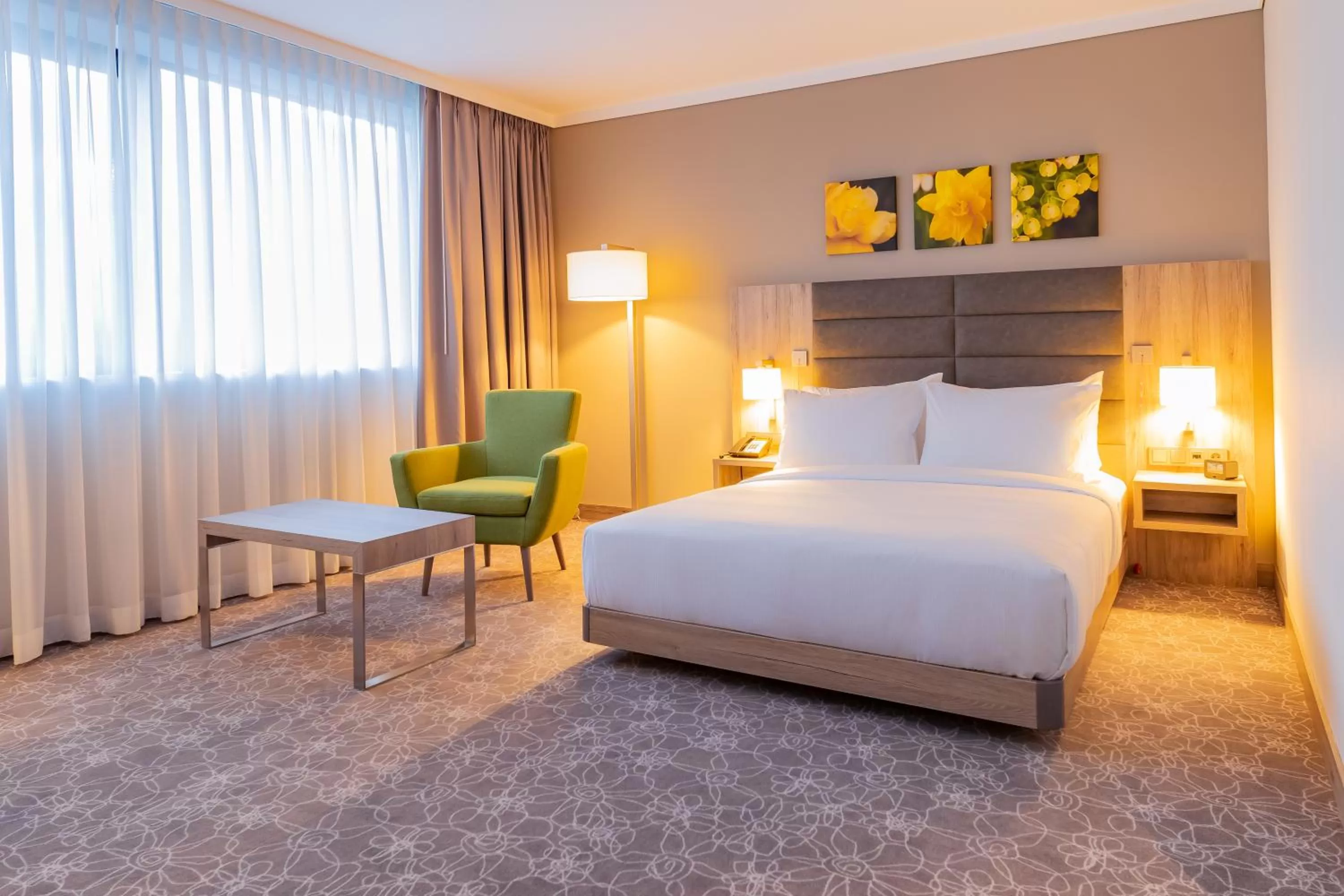 Queen Room with Mobility Accessible in Hilton Garden Inn Wiener Neustadt