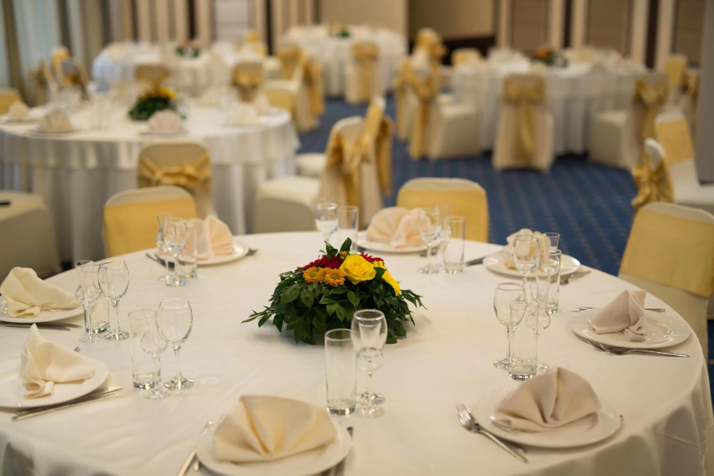 Banquet/Function facilities in Rosslyn Dimyat Hotel Varna