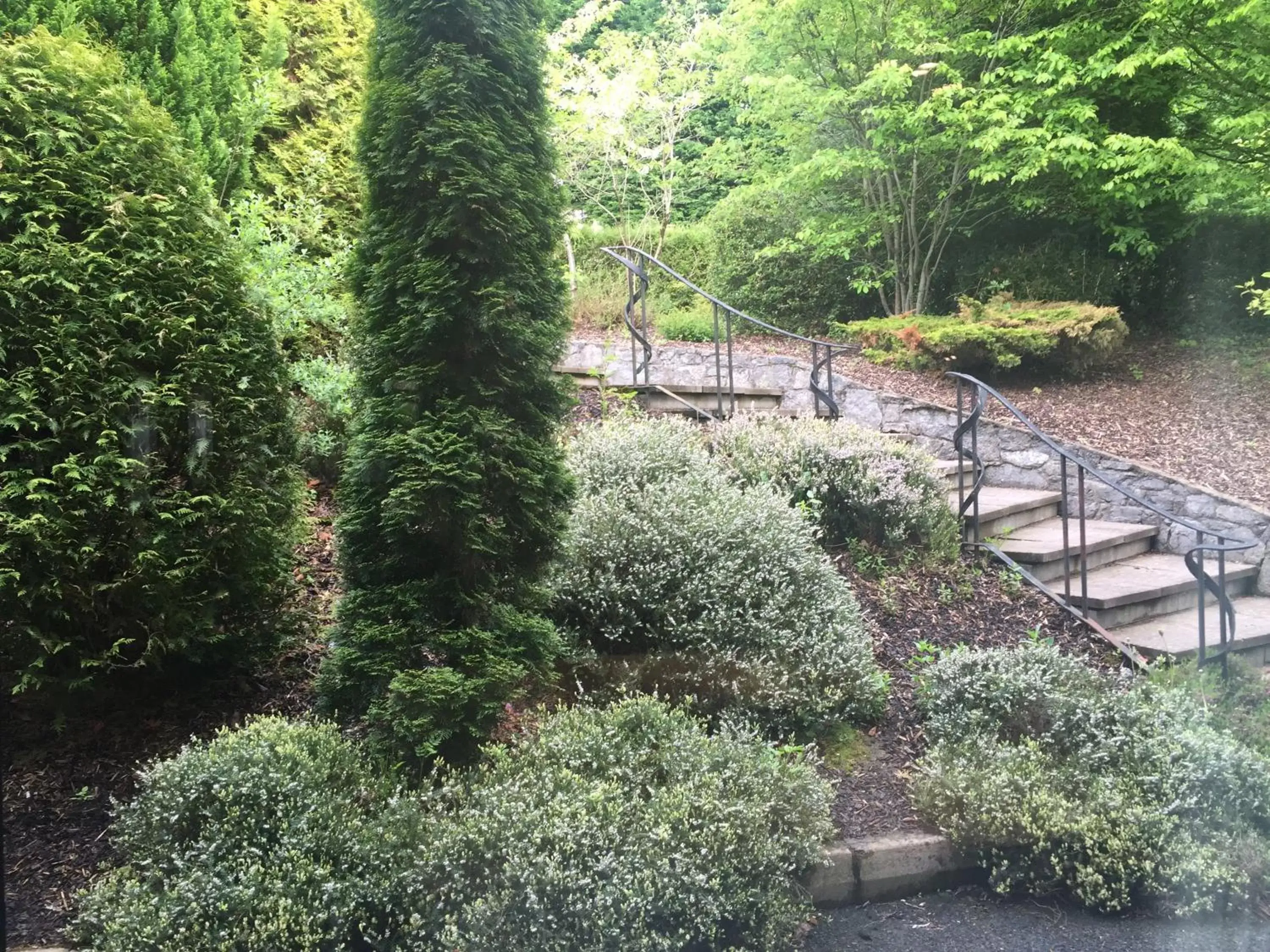 Garden in Four Seasons Hotel & Leisure Club