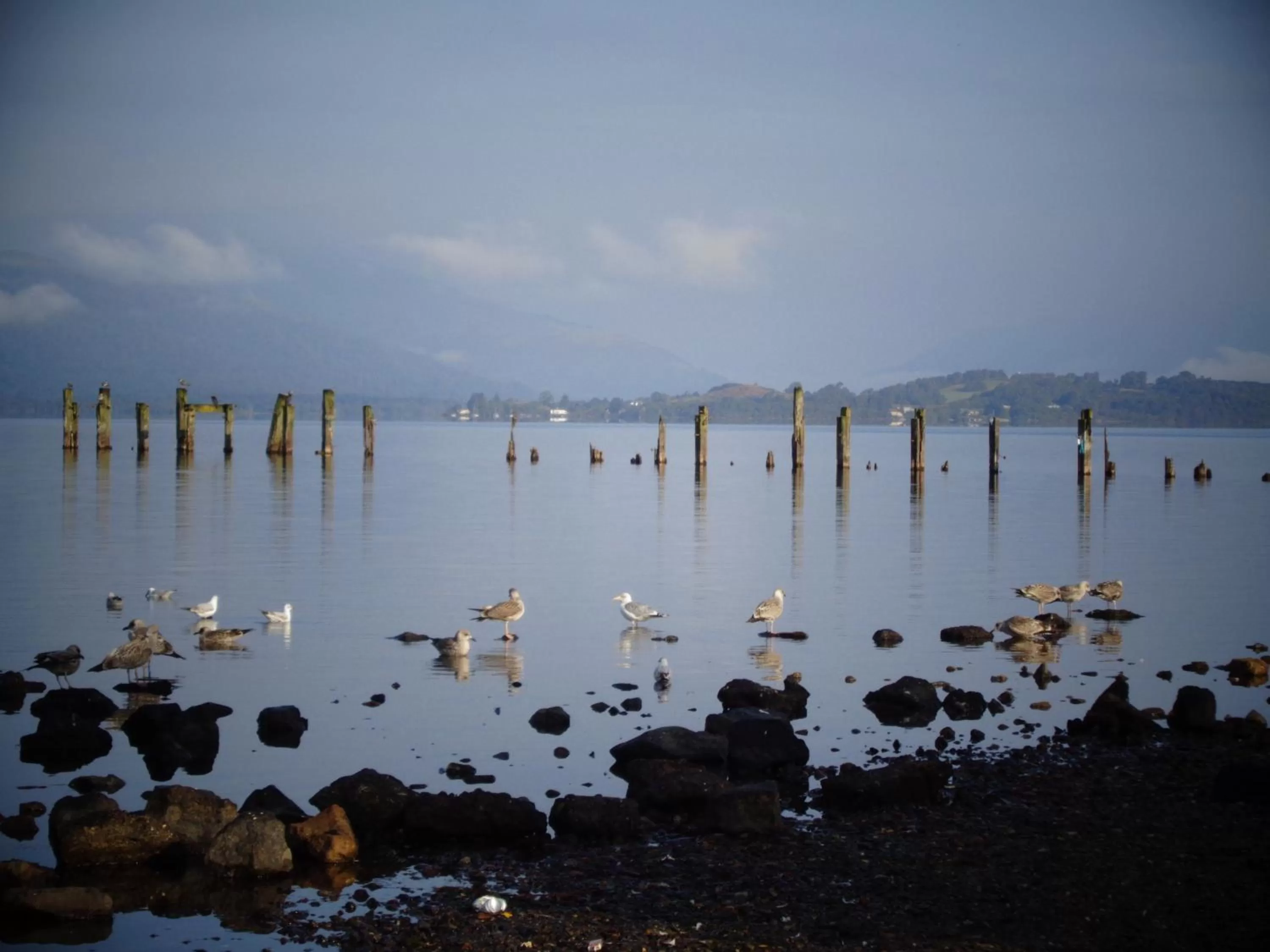 Day in Glenfern Guest House and a separate Cottage with its own private hot tub