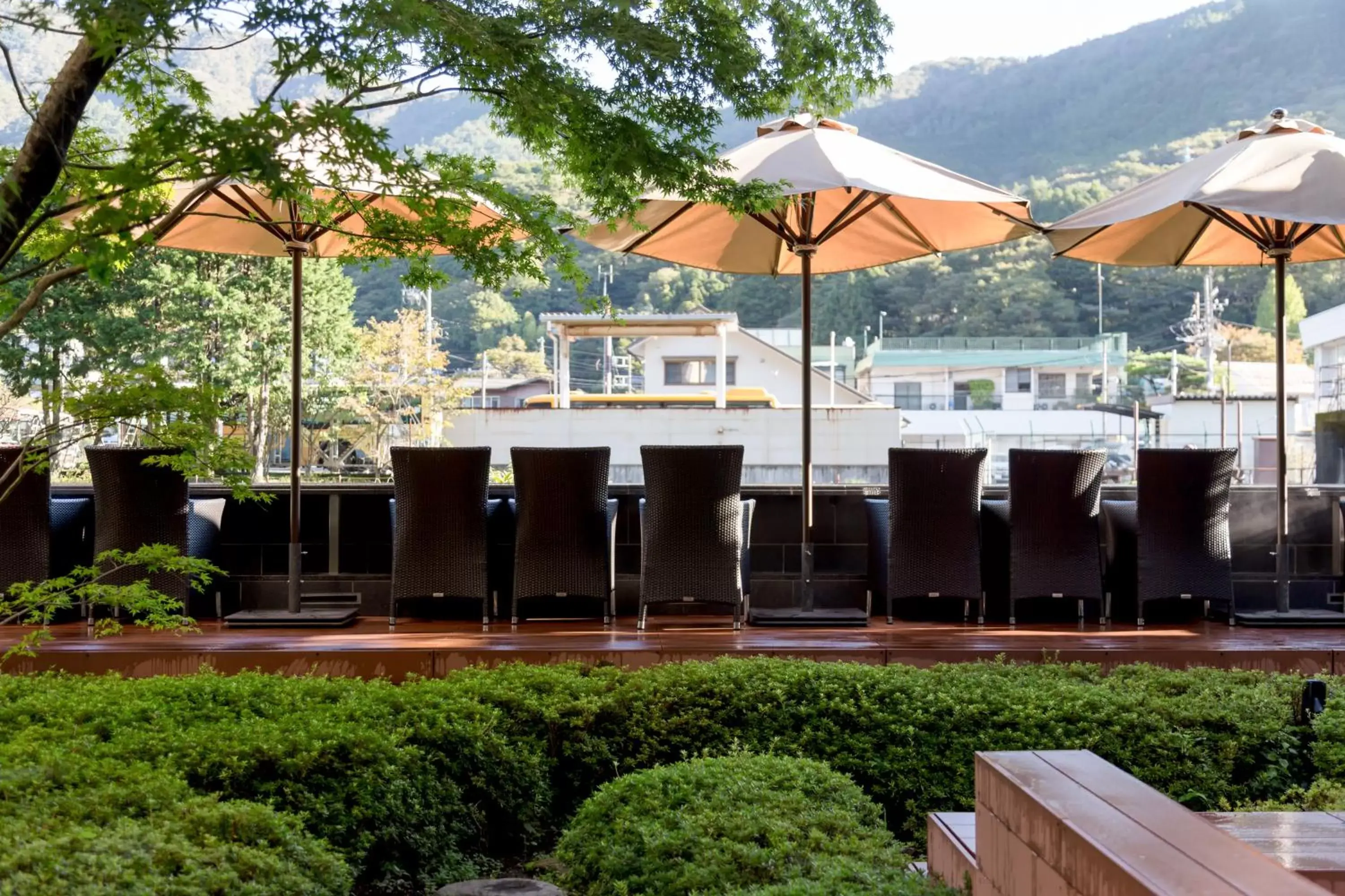 Natural landscape in Hotel Indigo Hakone Gora, an IHG Hotel