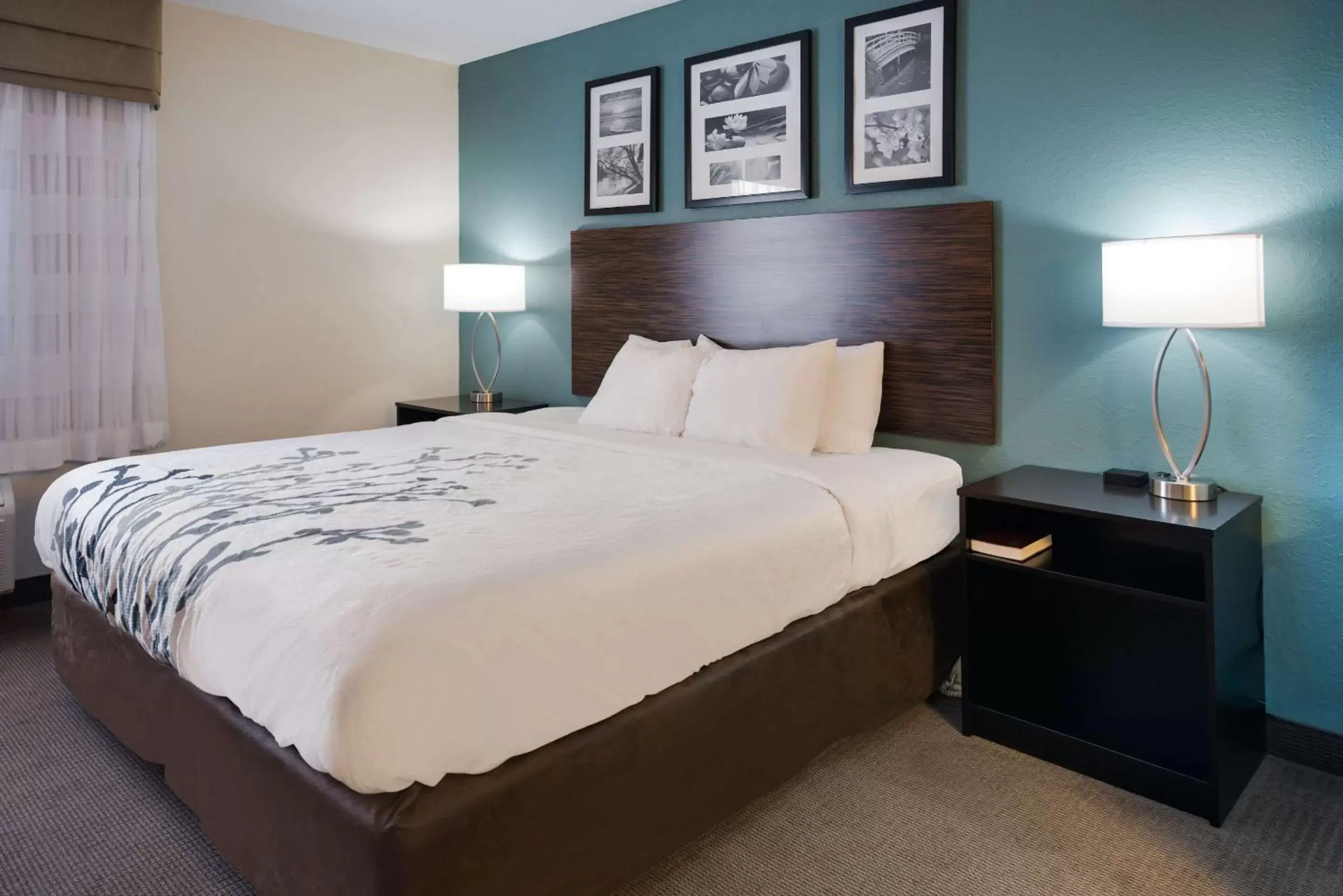 Photo of the whole room, Room Photo in Sleep Inn & Suites Port Clinton