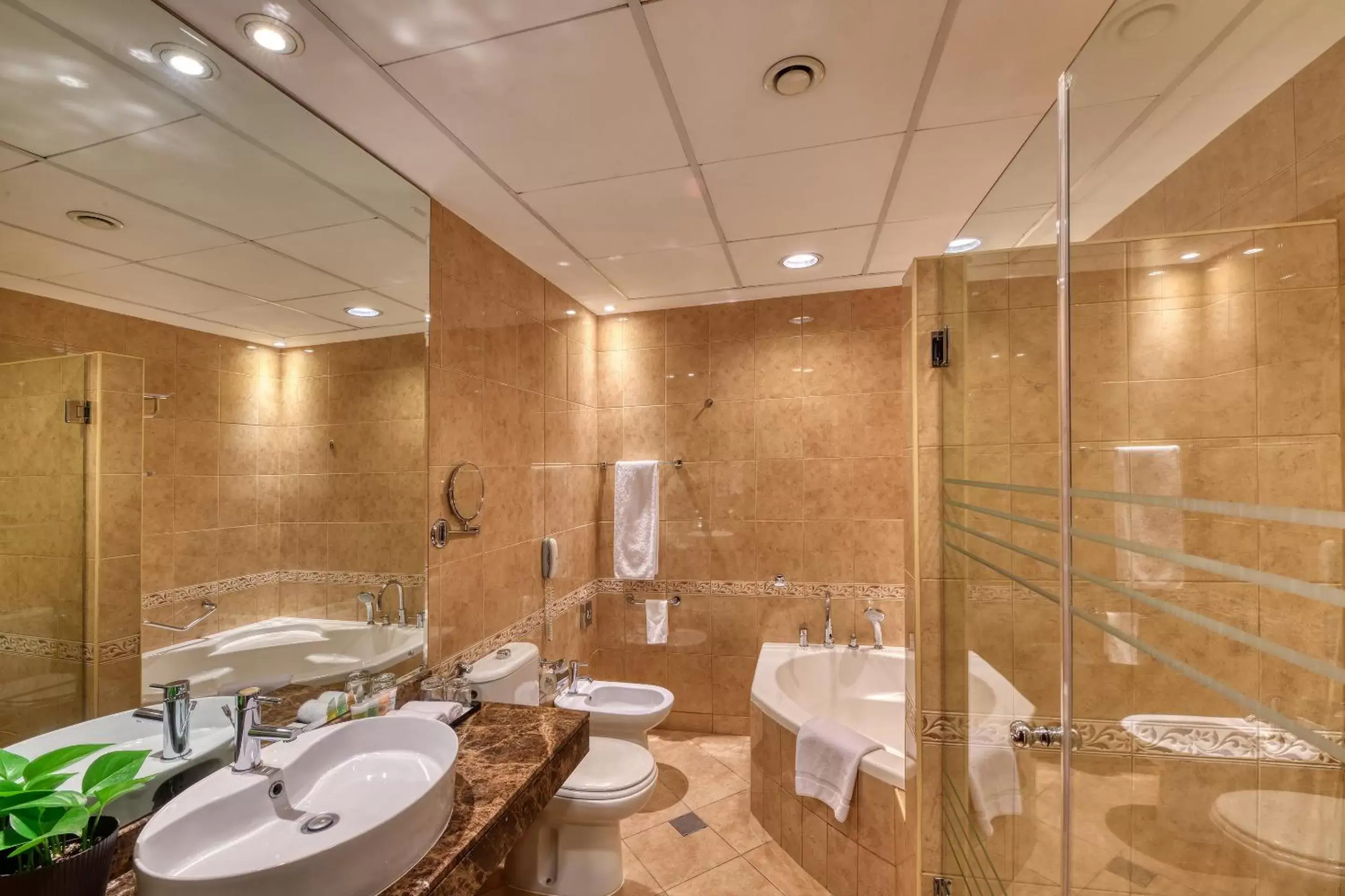 Shower, Bathroom in Majestic City Retreat Hotel