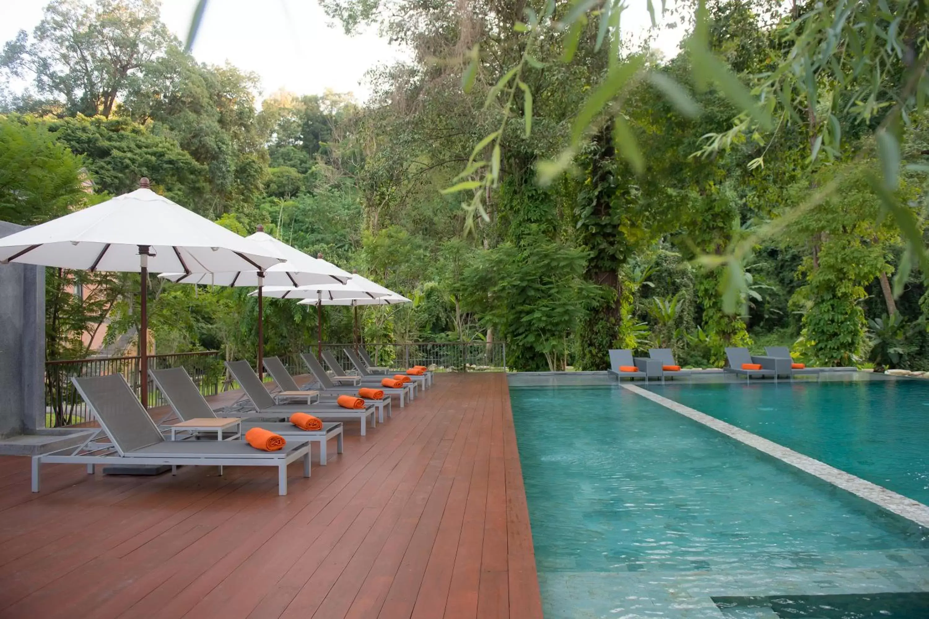 Swimming Pool in Flora Creek Chiang Mai