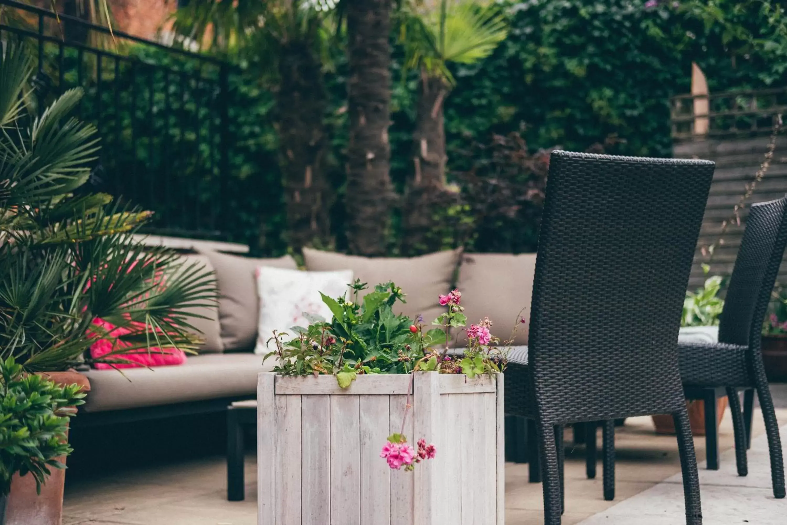 Patio in Darwin's Townhouse