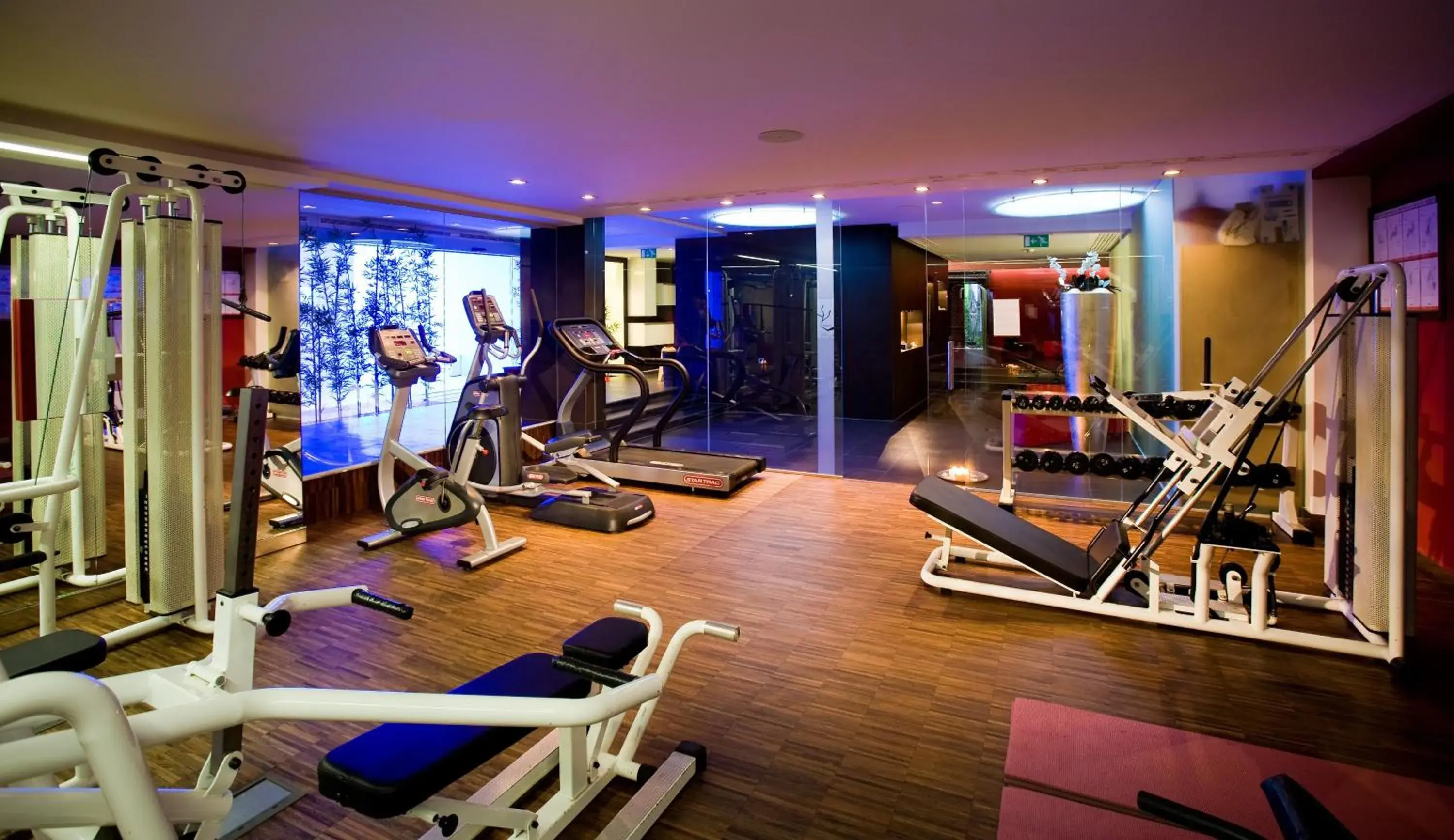 Fitness centre/facilities, Fitness Center/Facilities in Hotel Melia Coral for Plava Laguna