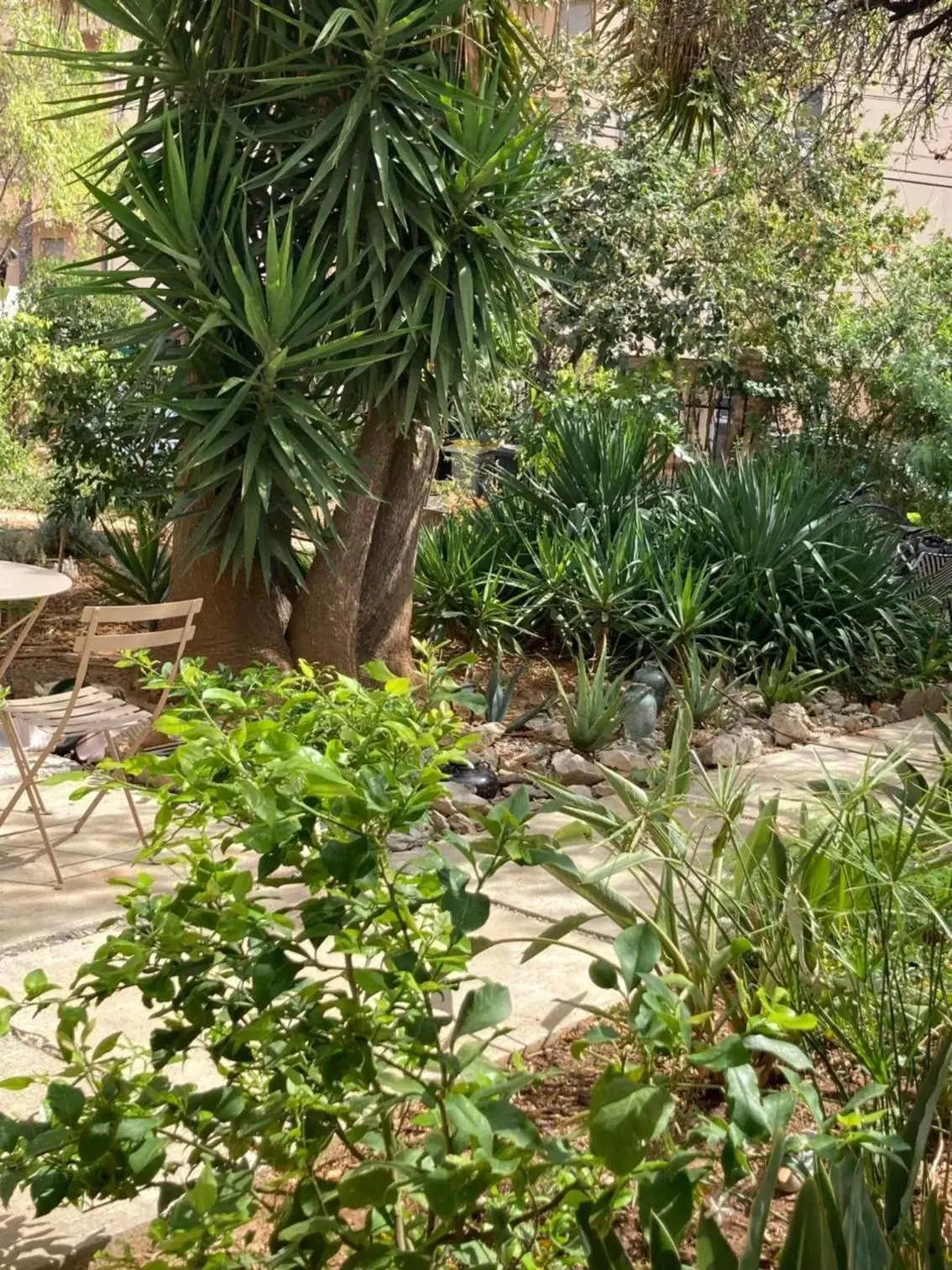 Garden in La villa des Amandiers