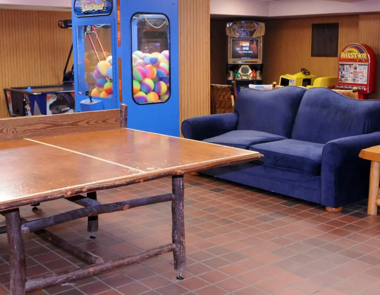 Game Room, Table Tennis in Turkey Run Inn & Cabins