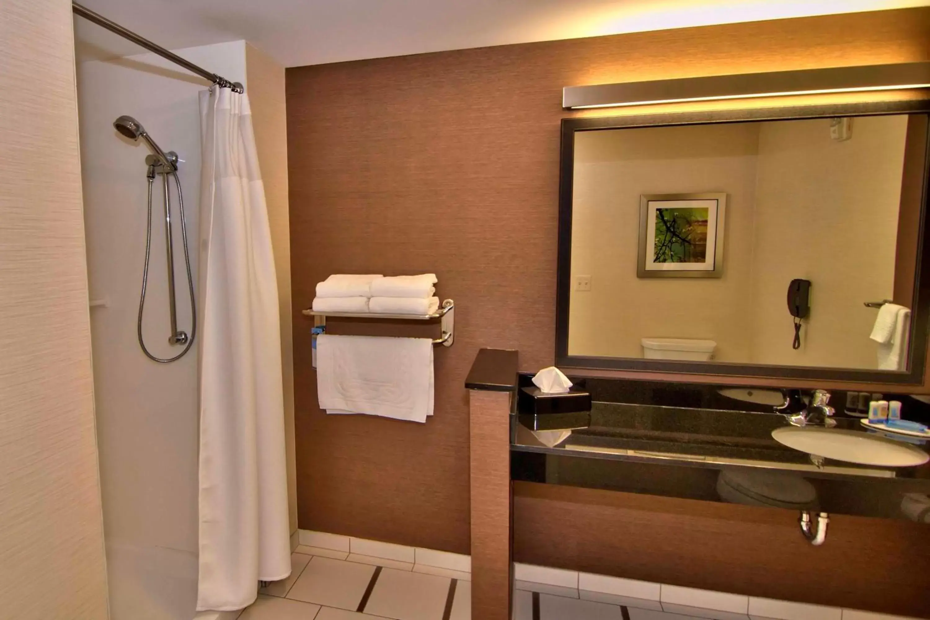 Bathroom in Fairfield Inn & Suites by Marriott Towanda Wysox