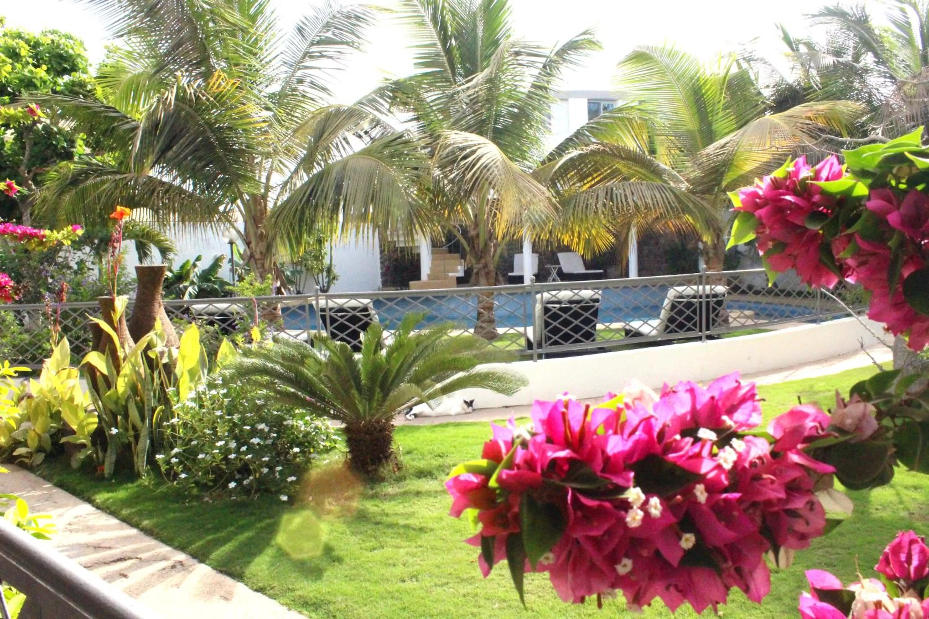 Garden in La Résidence