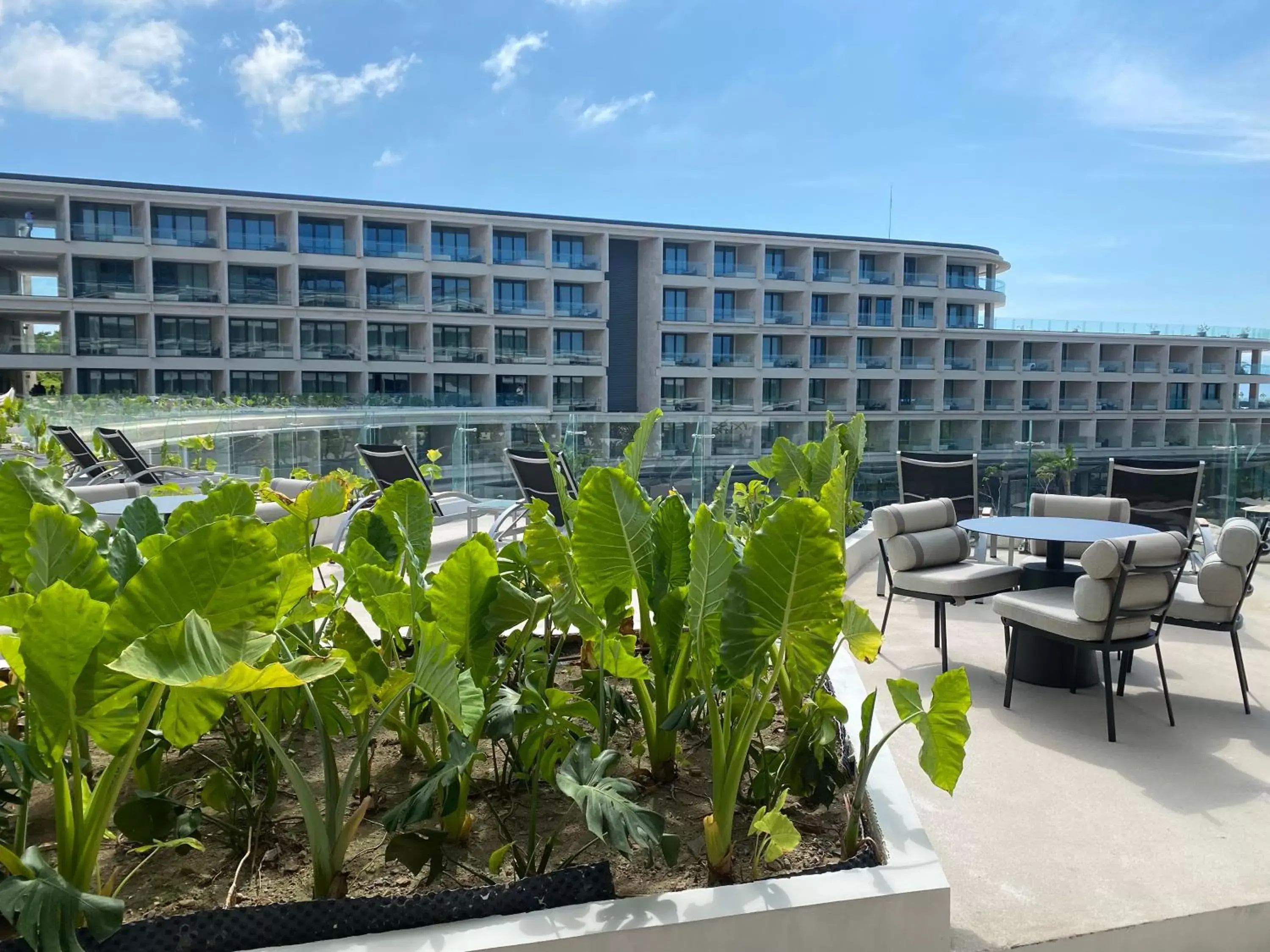 View (from property/room) in Secrets Bahia Mita Surf and Spa - All Inclusive - Adults Only View (from property/room) in Secrets Bahia Mita Surf and Spa - All Inclusive - Adults Only