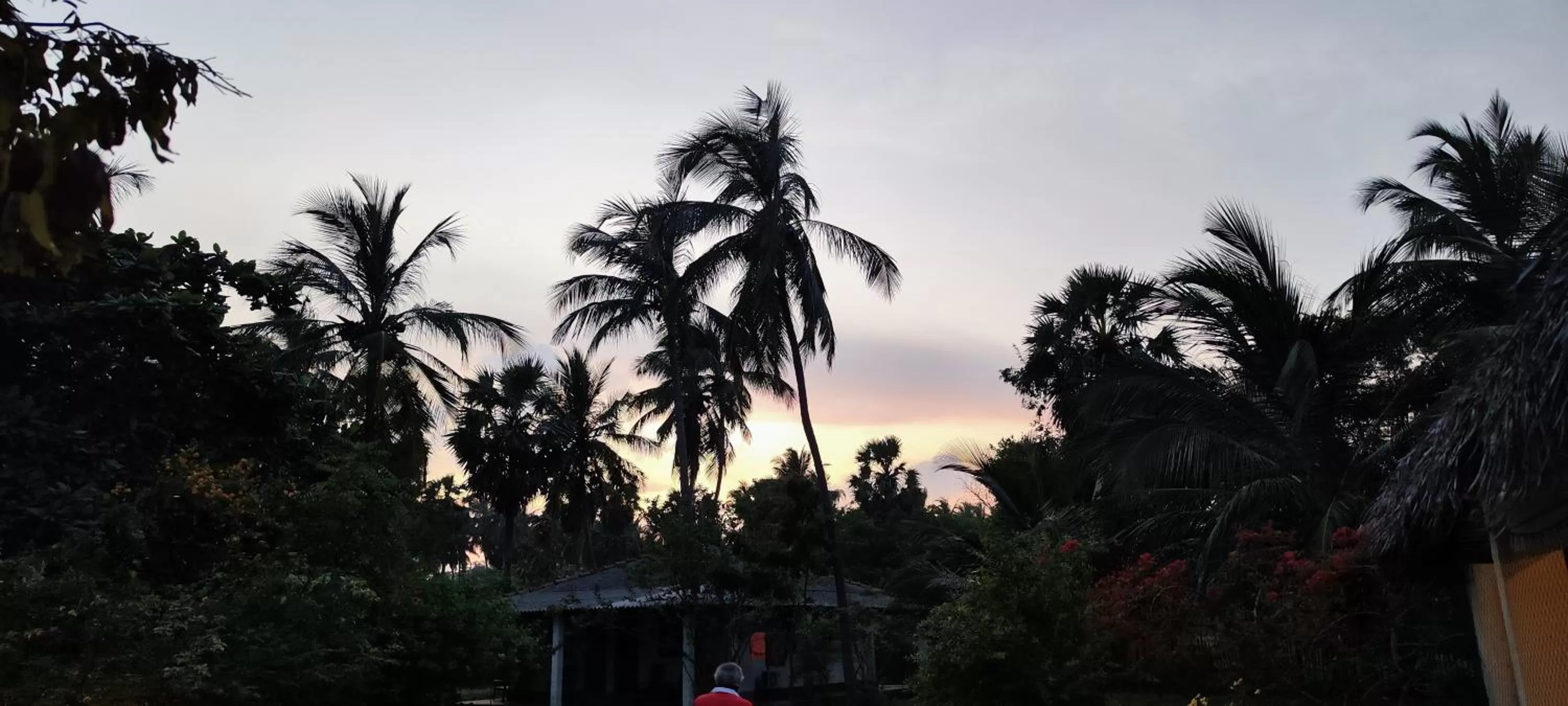 Sunrise/Sunset in 108 Palms Beach Resort