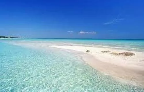 Beach in Hotel Costa D'Oro 1