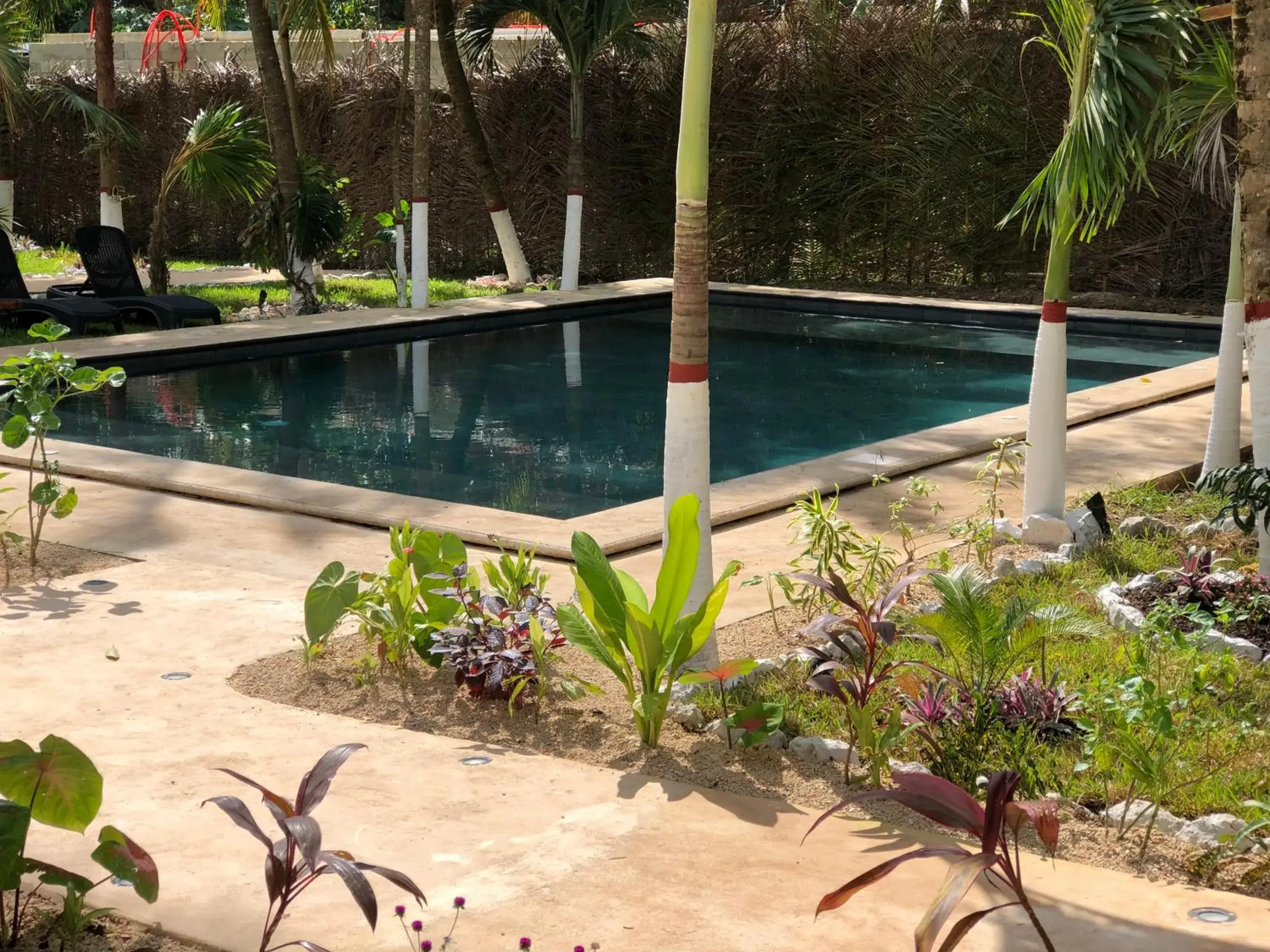 Swimming Pool in Tierra maya Hotel & Sanctuary