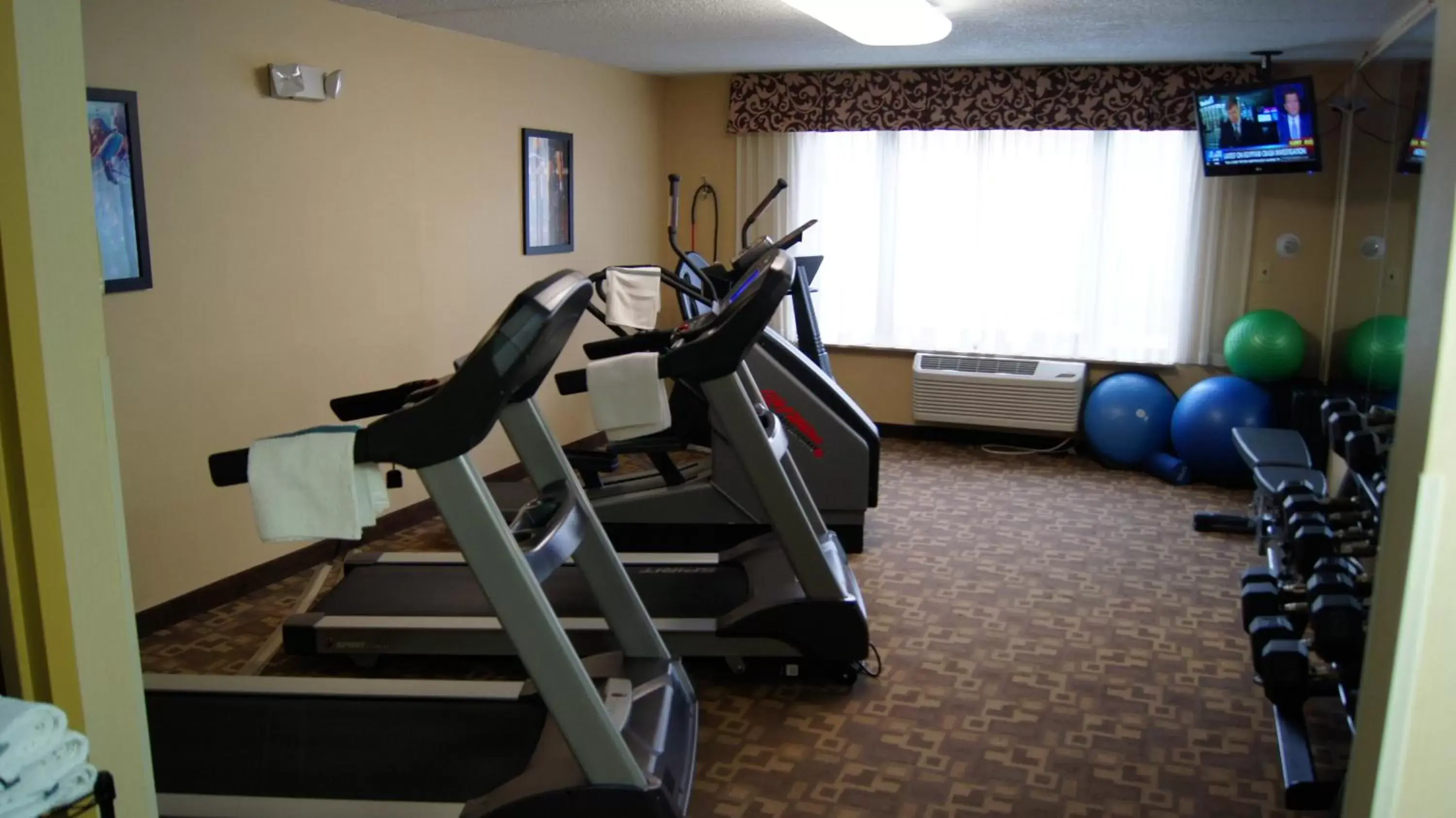 Spa and wellness centre/facilities, Fitness Center/Facilities in Radisson Hotel Schaumburg