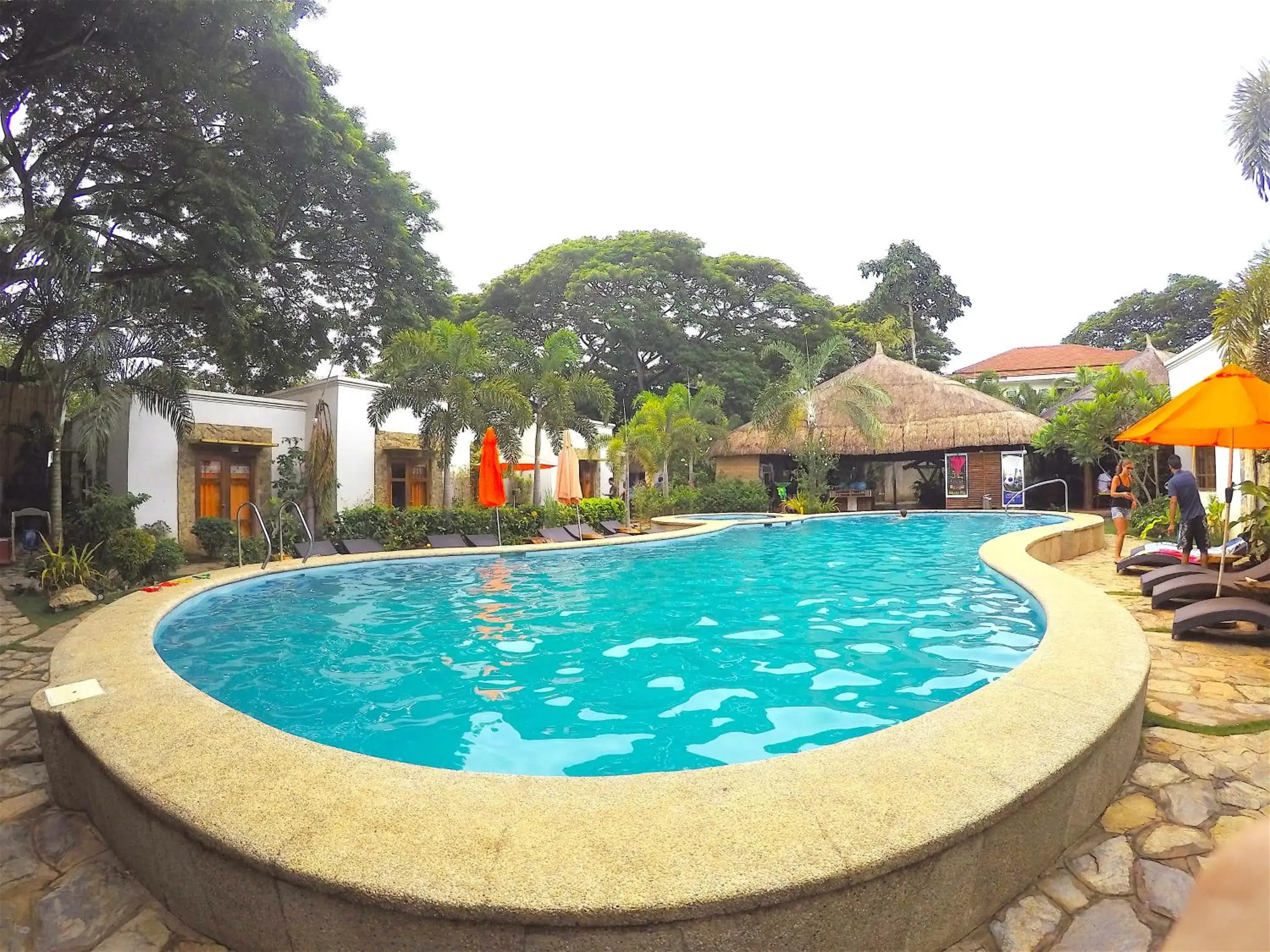 Activities, Swimming Pool in Acacia Tree Garden Hotel