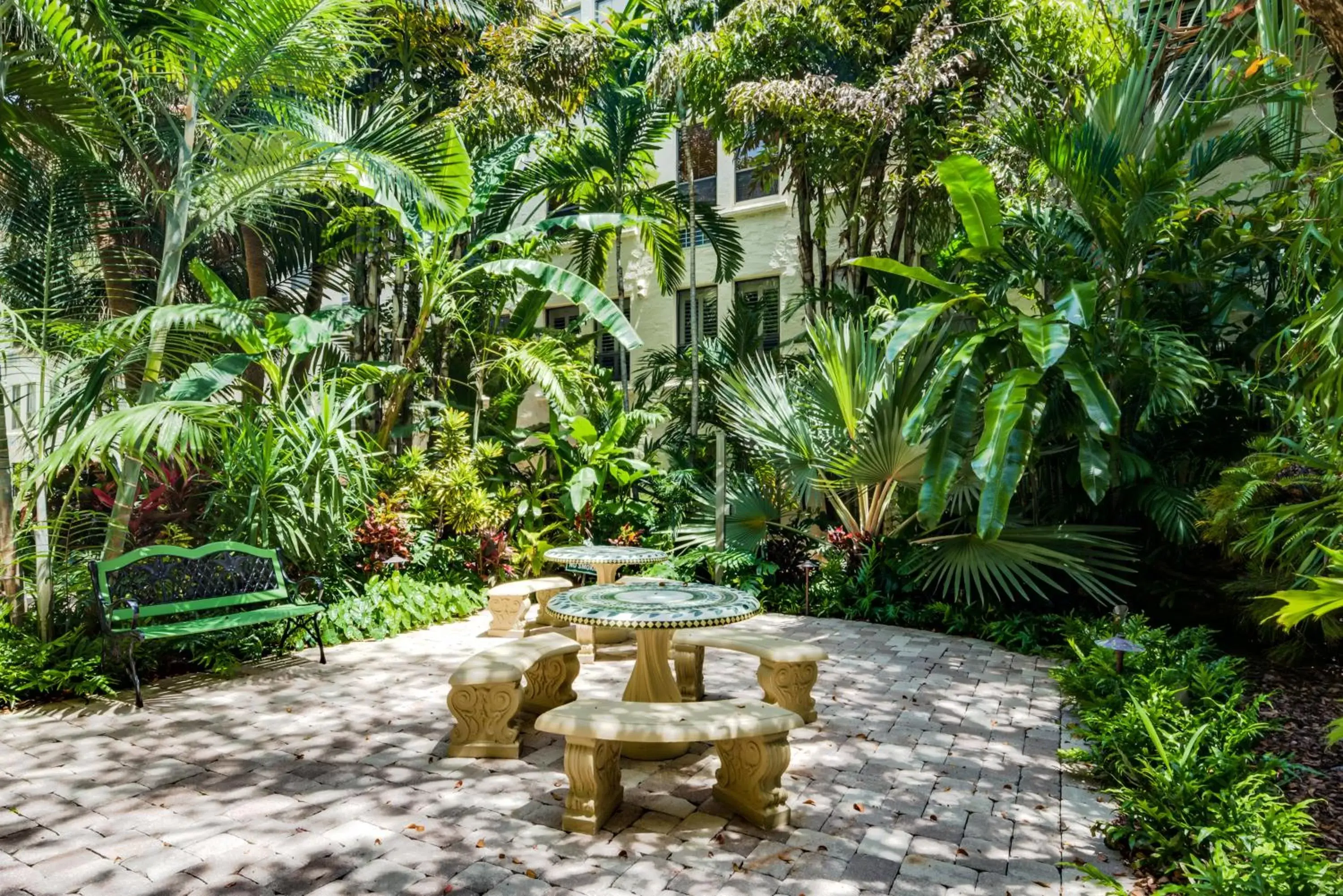 Garden in Tropicals of Palm Beach