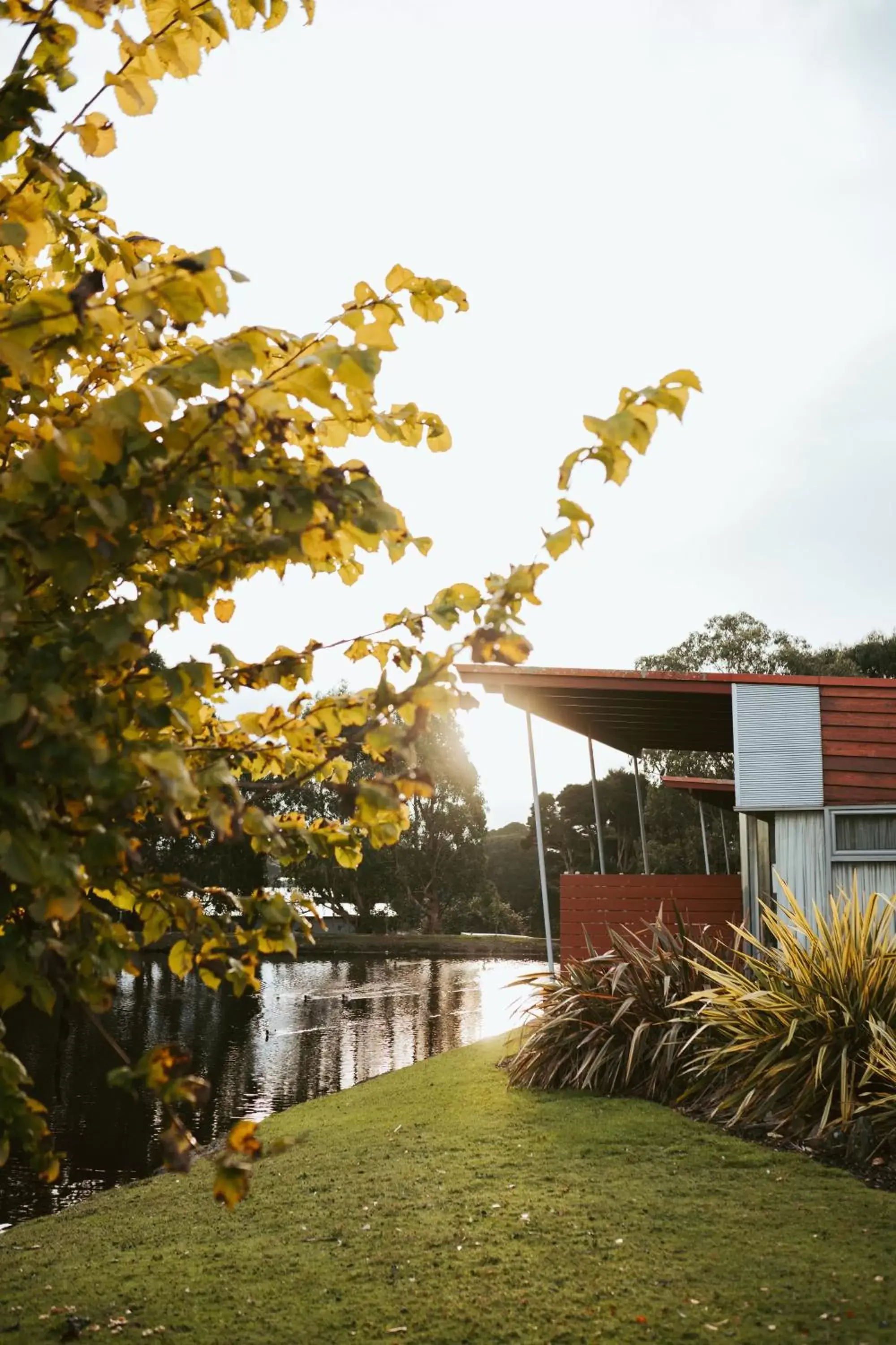 Garden in Tall Timbers Tasmania