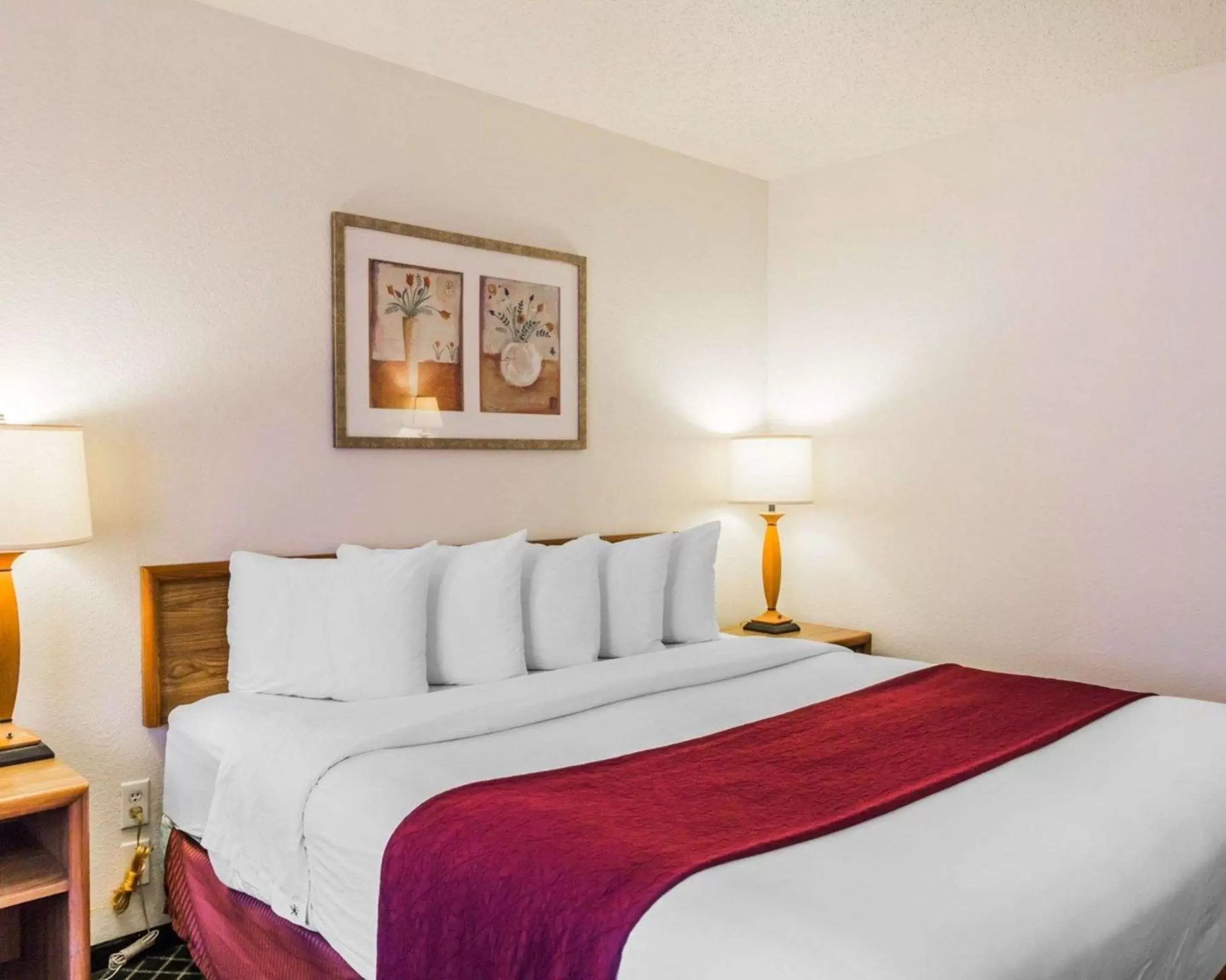 Photo of the whole room, Bed in Quality Inn & Suites Golden - Denver West