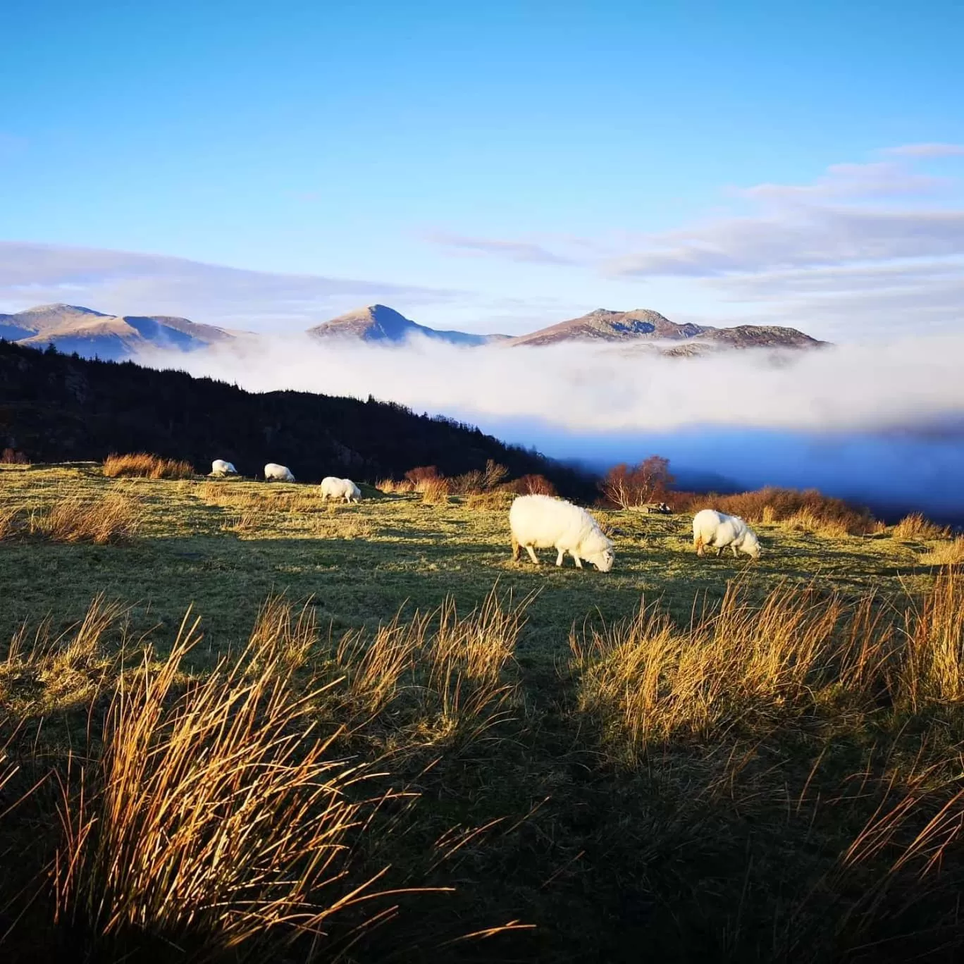 Other in Aberconwy House B&B