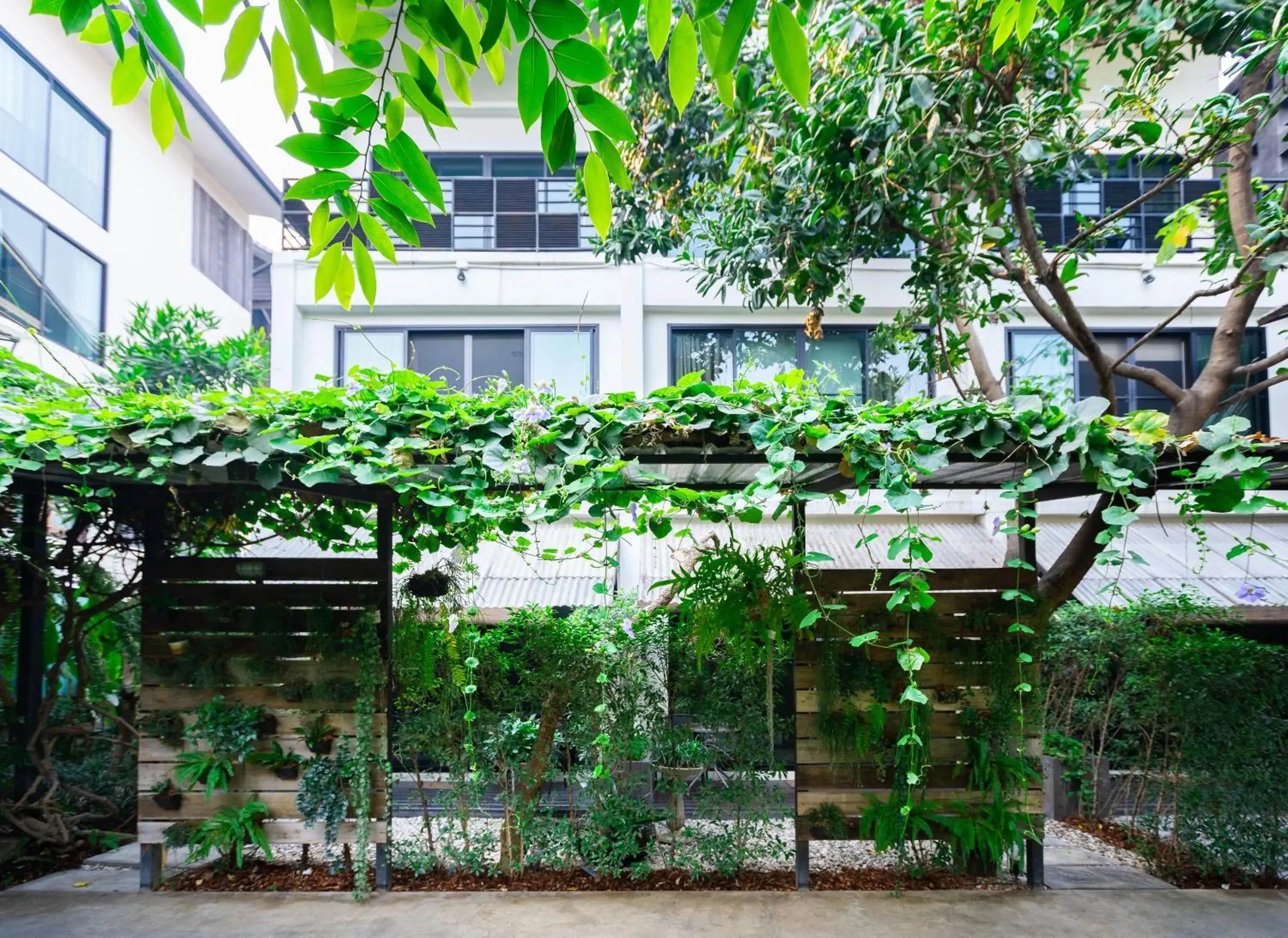 Garden, Property Building in Gord ChiangMai - SHA Extra Plus