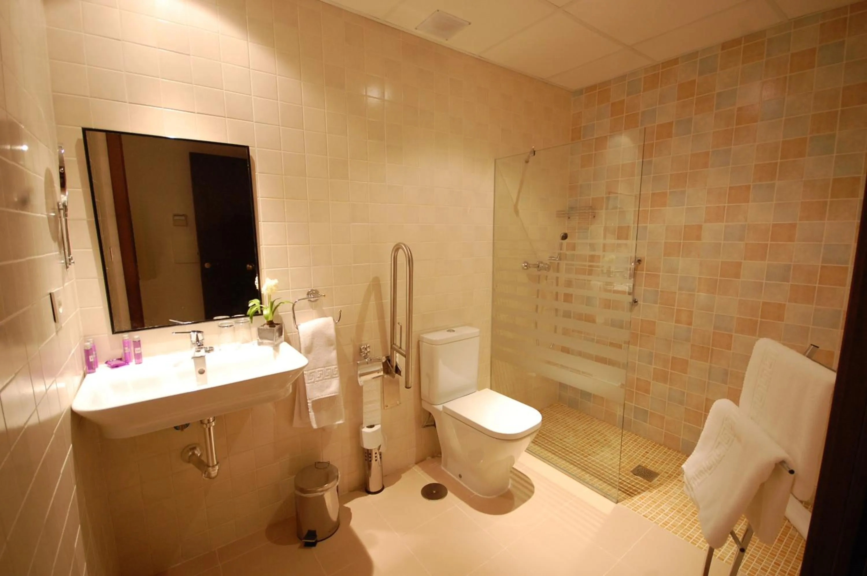 Bathroom in Hotel Hospederia San Francisco