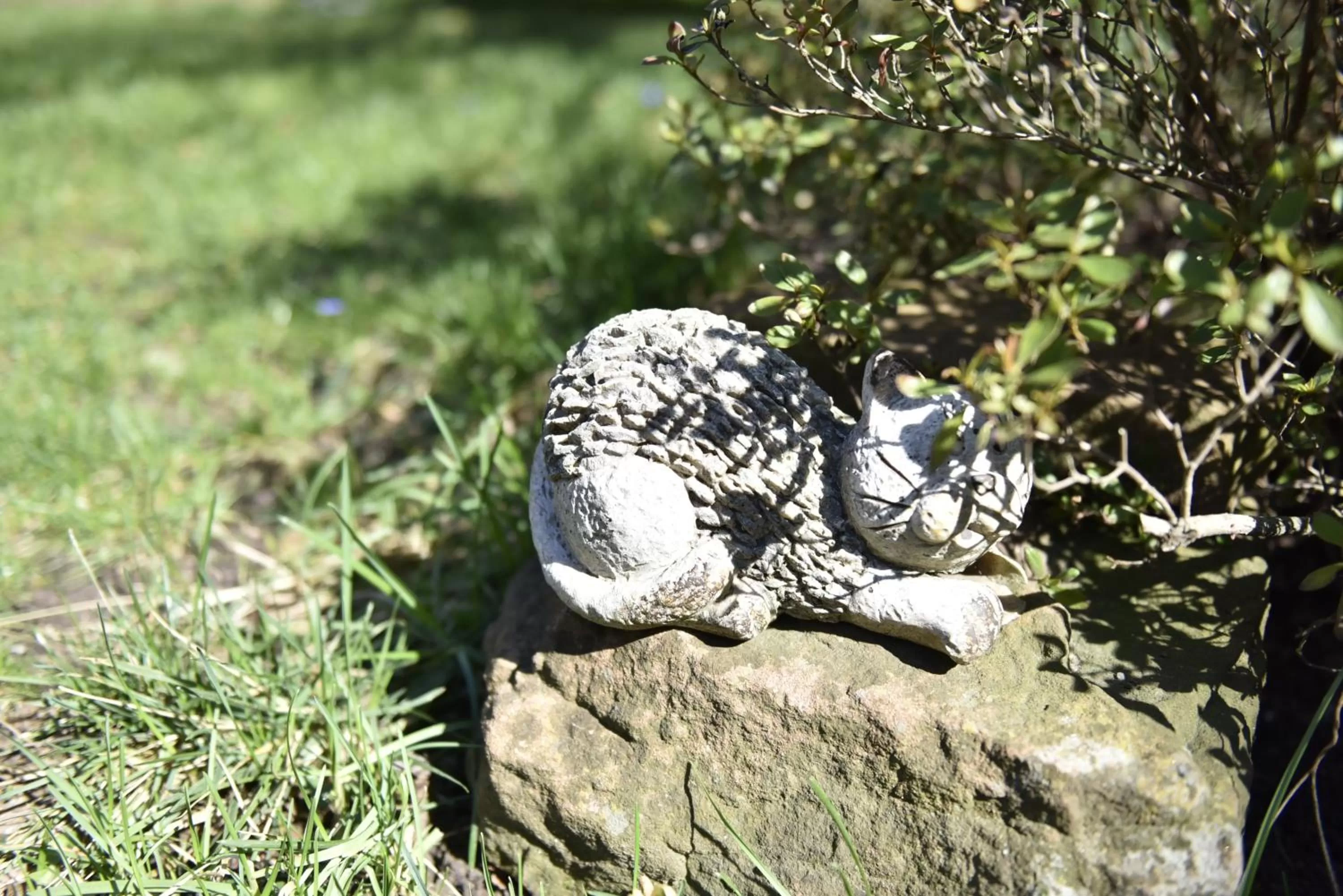 Maison d'hôtes Aux Deux Cigognes