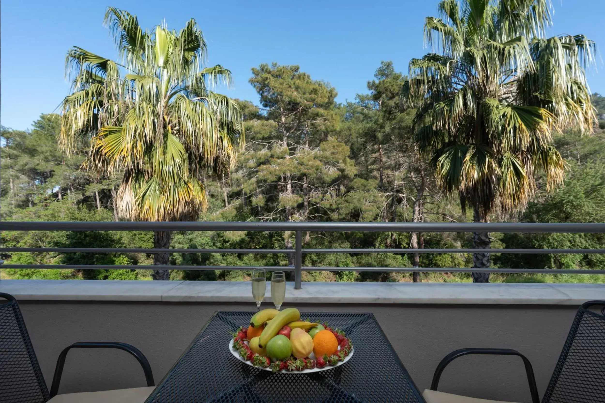 Natural landscape in Grand Viking Hotel