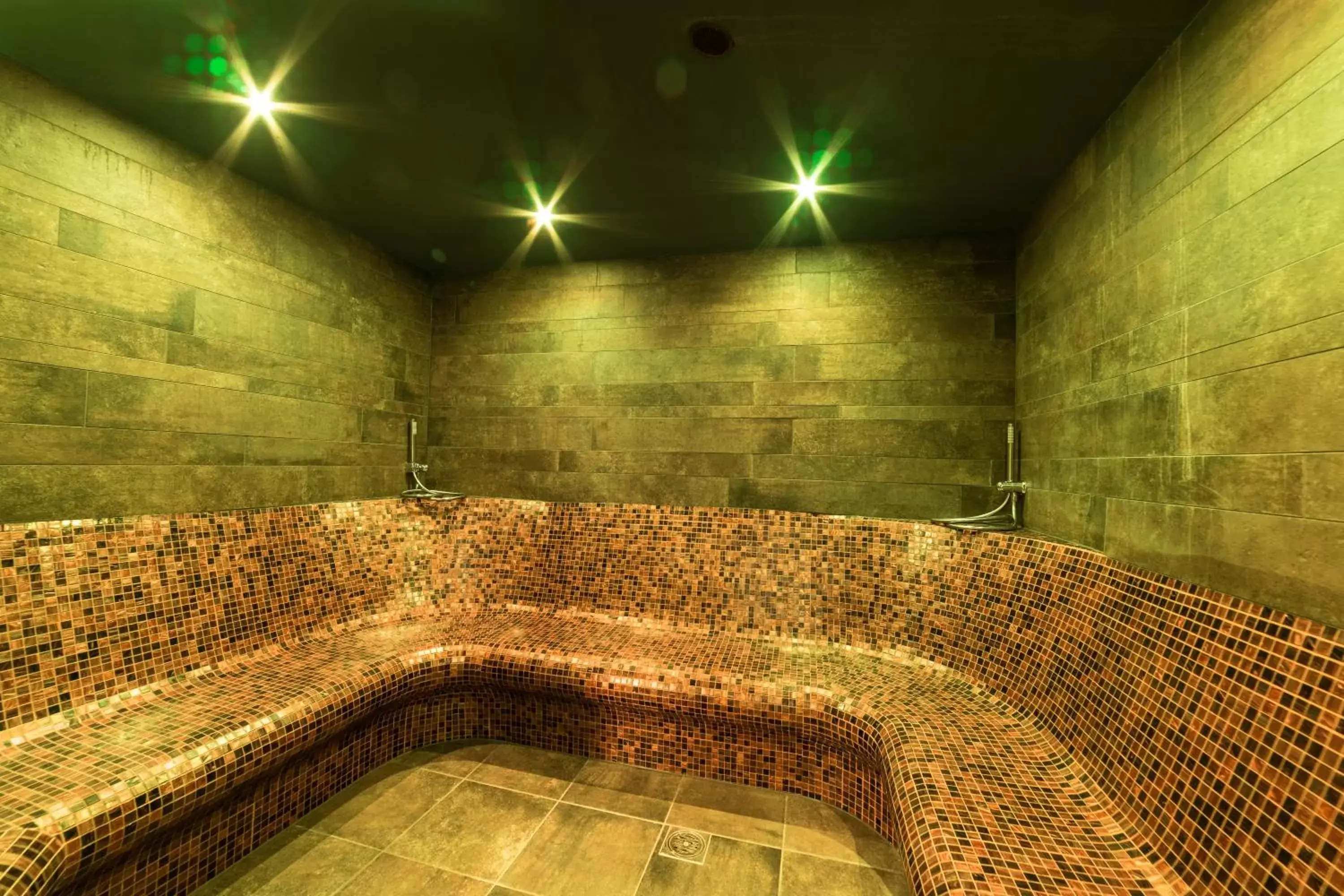 Steam room, Spa/Wellness in Hotel Ristorante Lewald