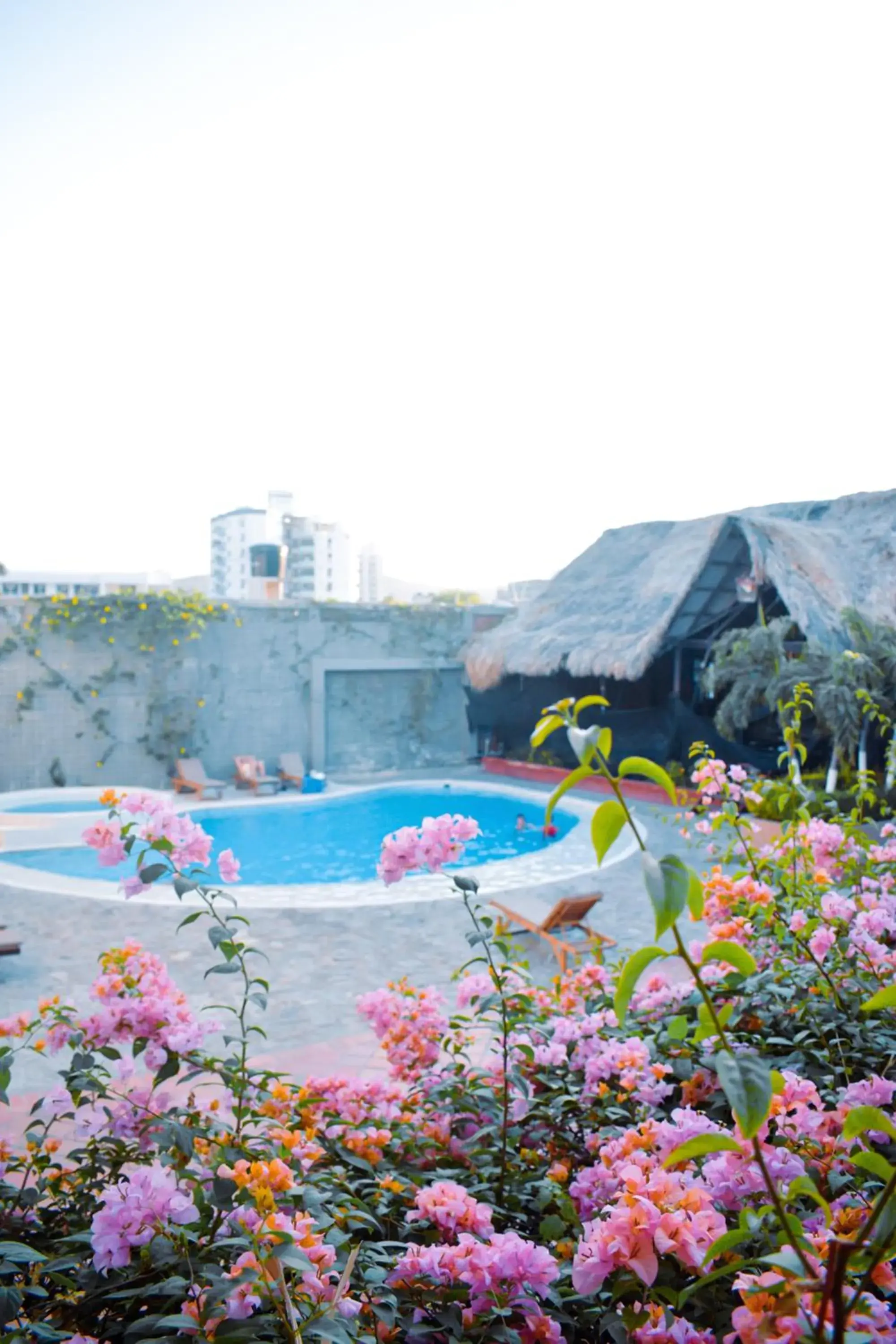 Garden, Swimming Pool in Hotel Sansiraka