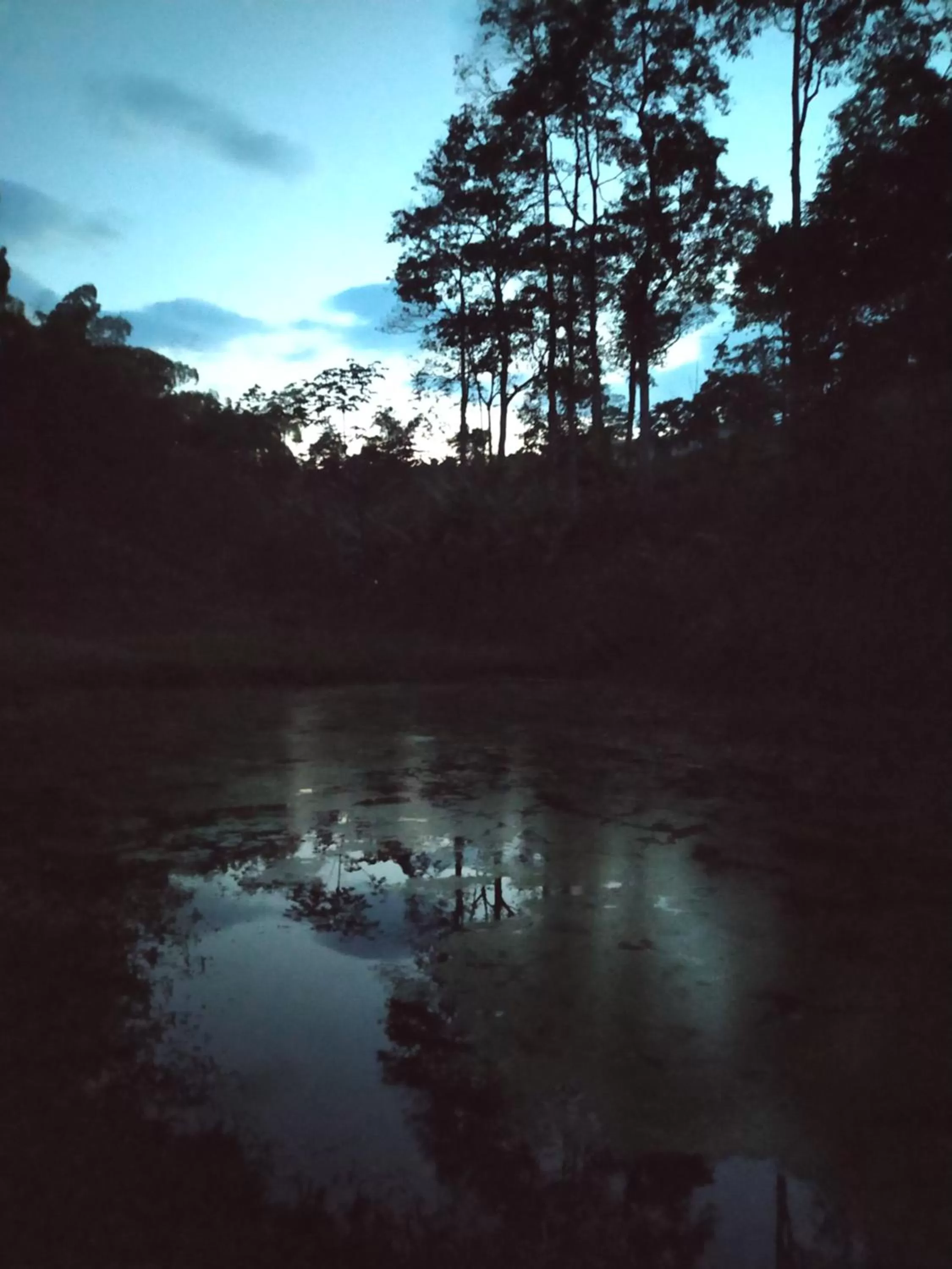 Natural landscape in Villa Cristina - Casa Boutique