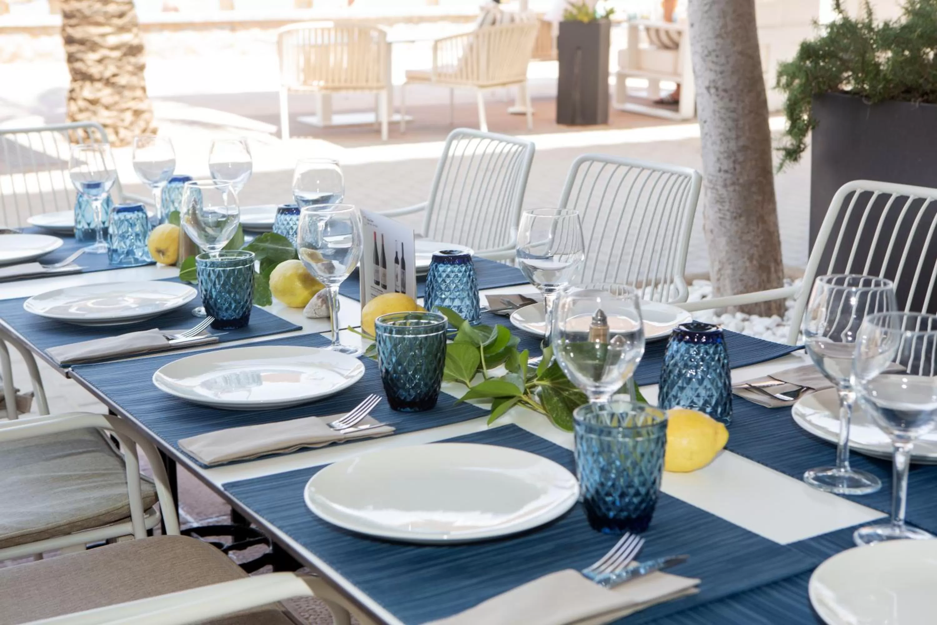 Restaurant/Places to Eat in Hotel Marina