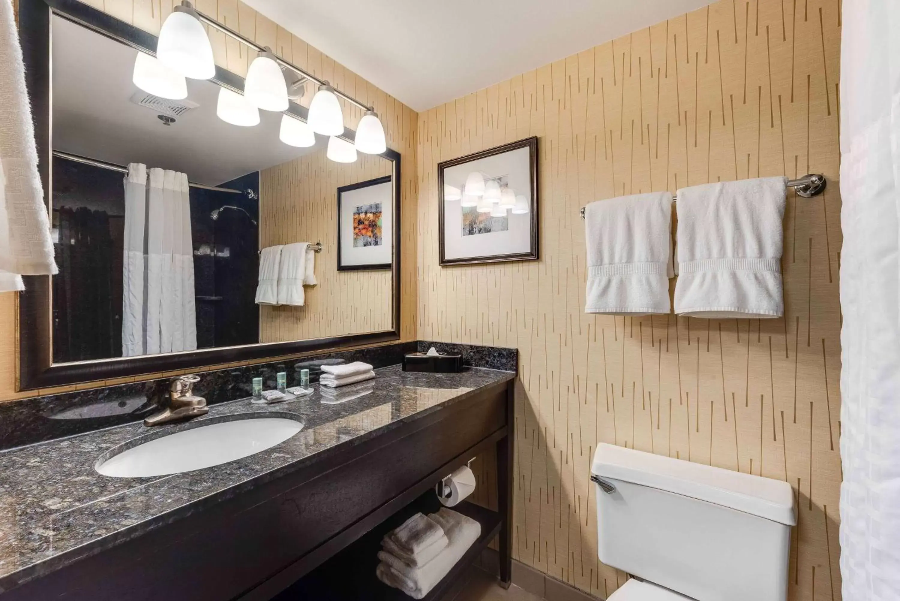 Photo of the whole room, Bathroom in Best Western Chicago - Downers Grove