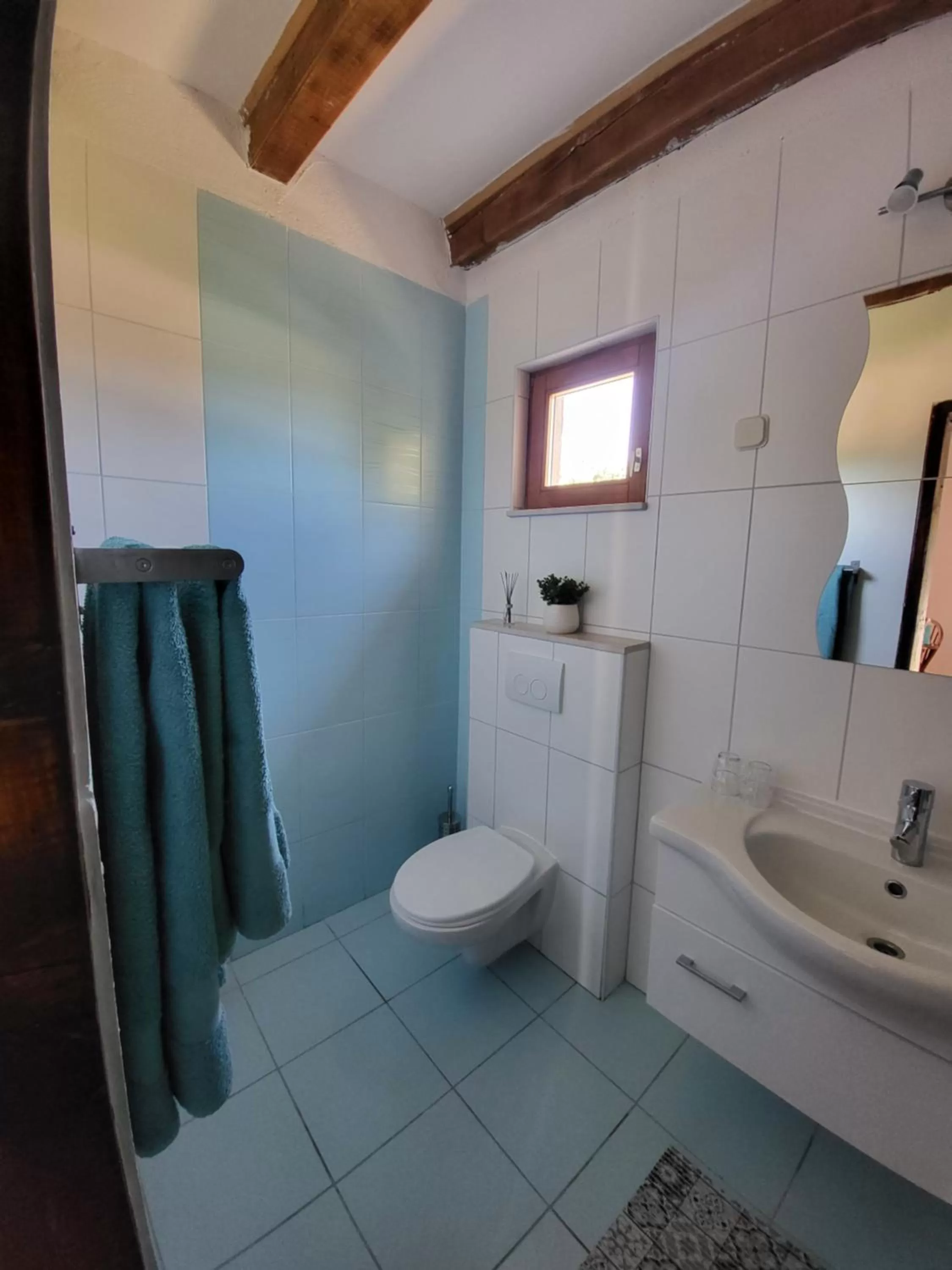 Bathroom in Agroturizam Duvančić - Konoba dida Marka