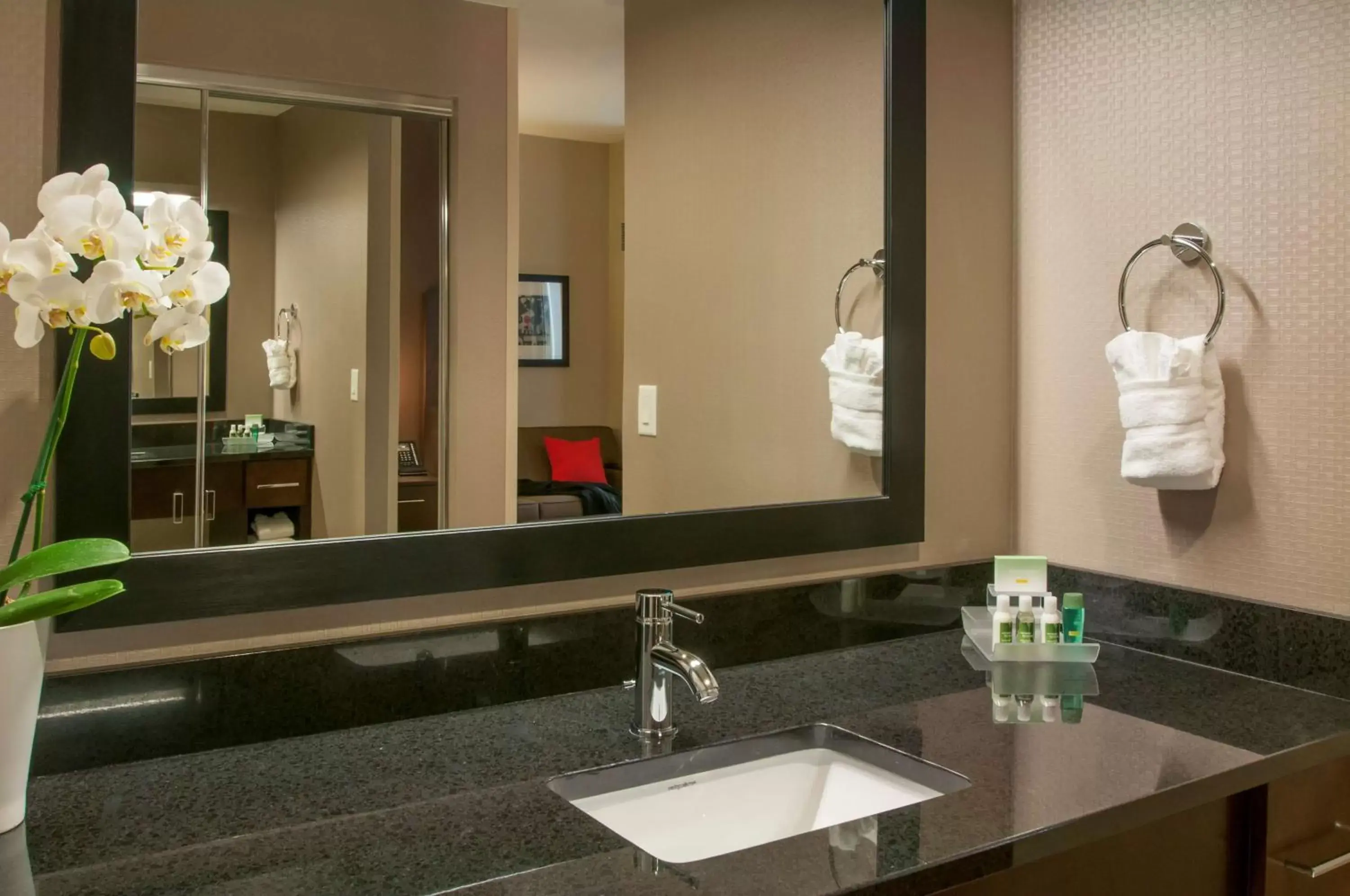 Bathroom in Homewood Suites- Denver Downtown Convention Center