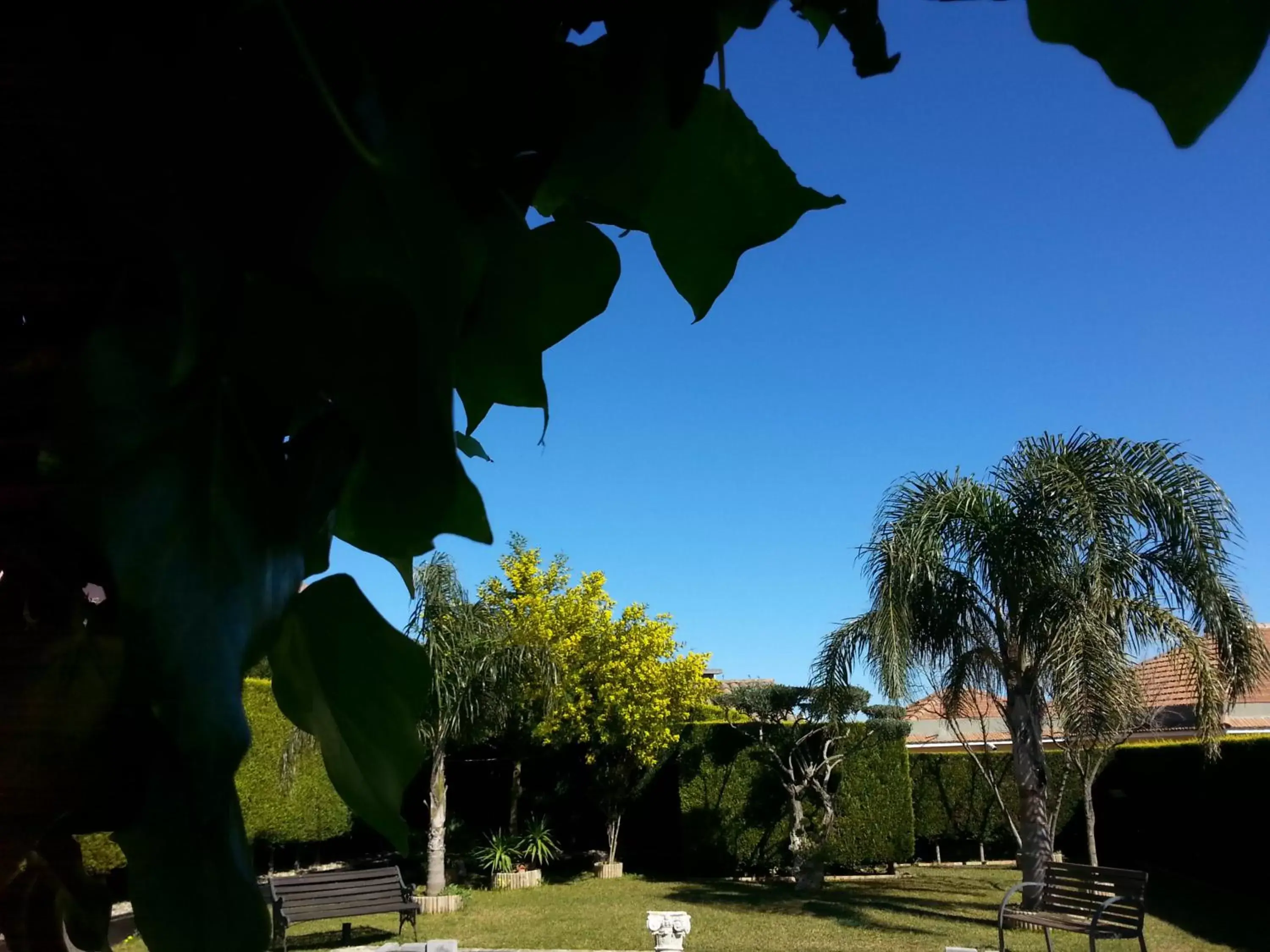 Spring, Garden in Etma