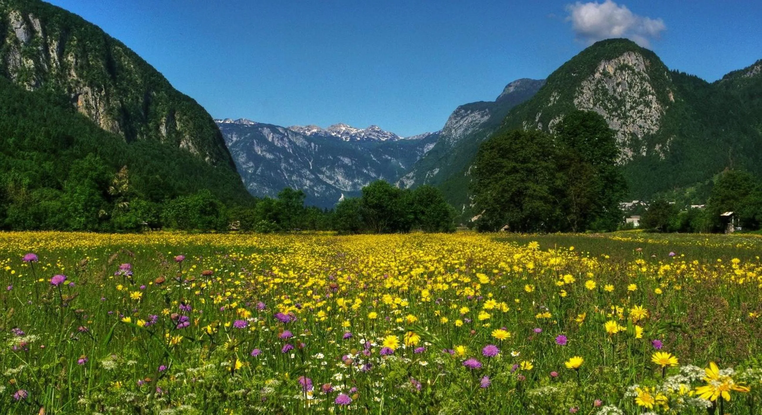 Area and facilities in Hotel Tripič, restaurant and pizzeria