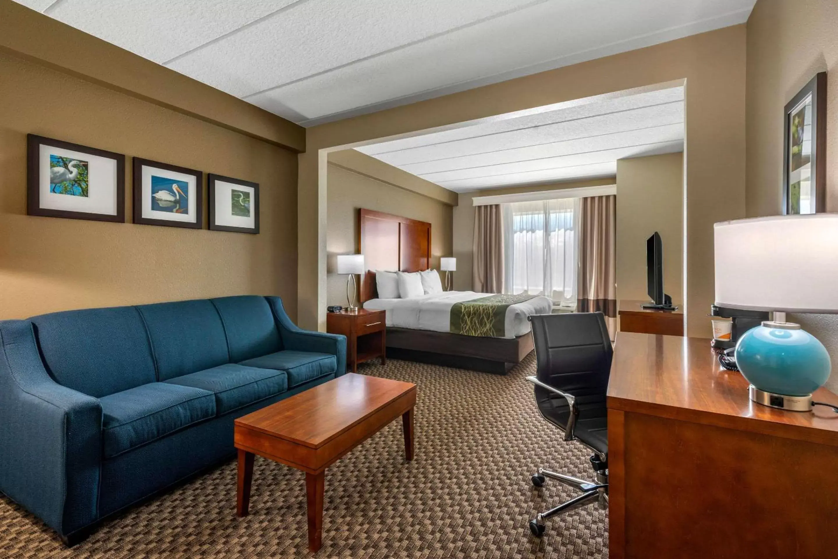 King Room - Accessible/Non-Smoking in Comfort Inn & Suites Wildwood – The Villages
