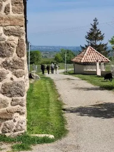 Ferme de la Combe - The Goldy's Farm