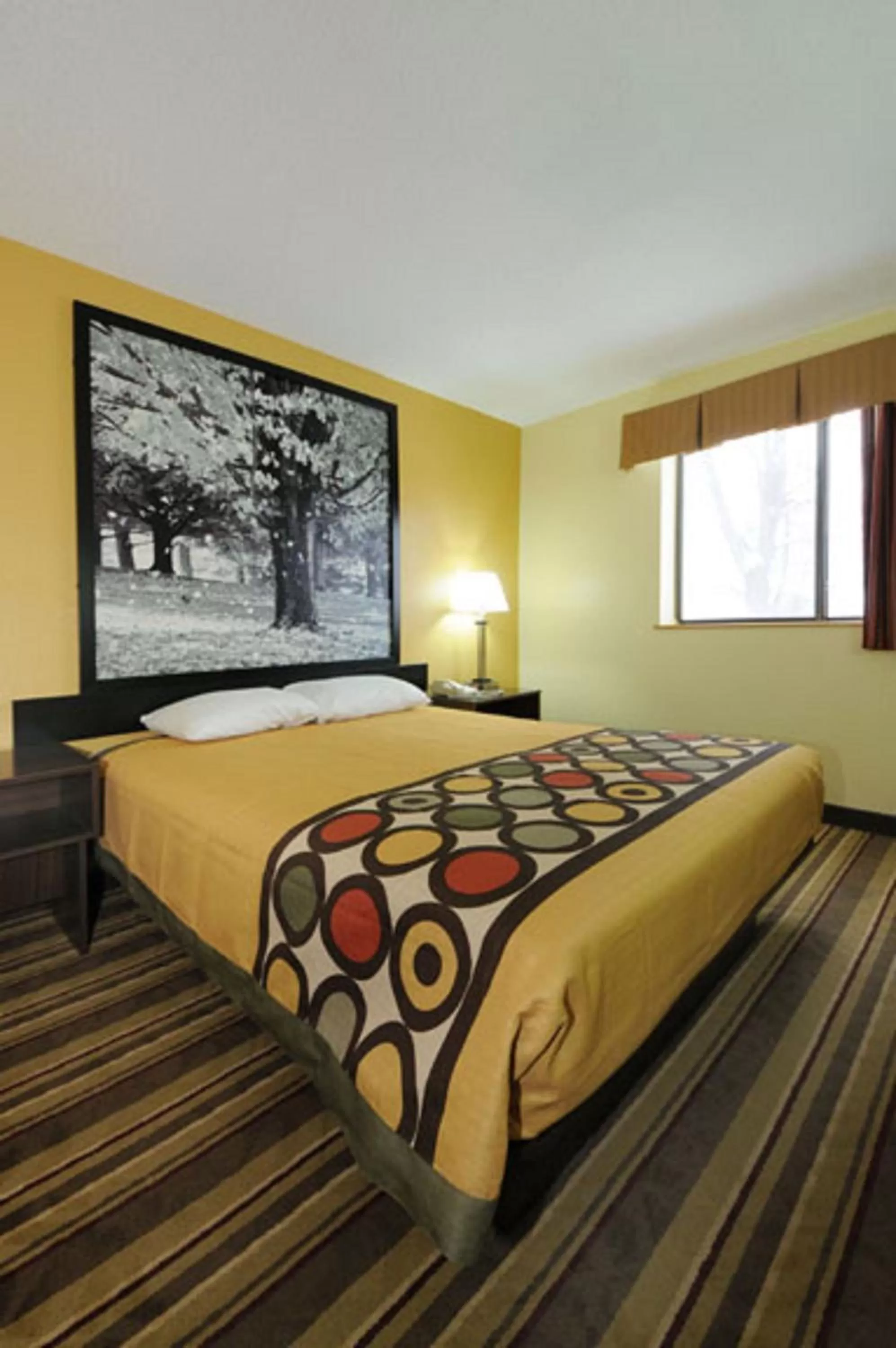 Queen Room - Disability Access/Smoking in Super 8 by Wyndham Latham - Albany Airport