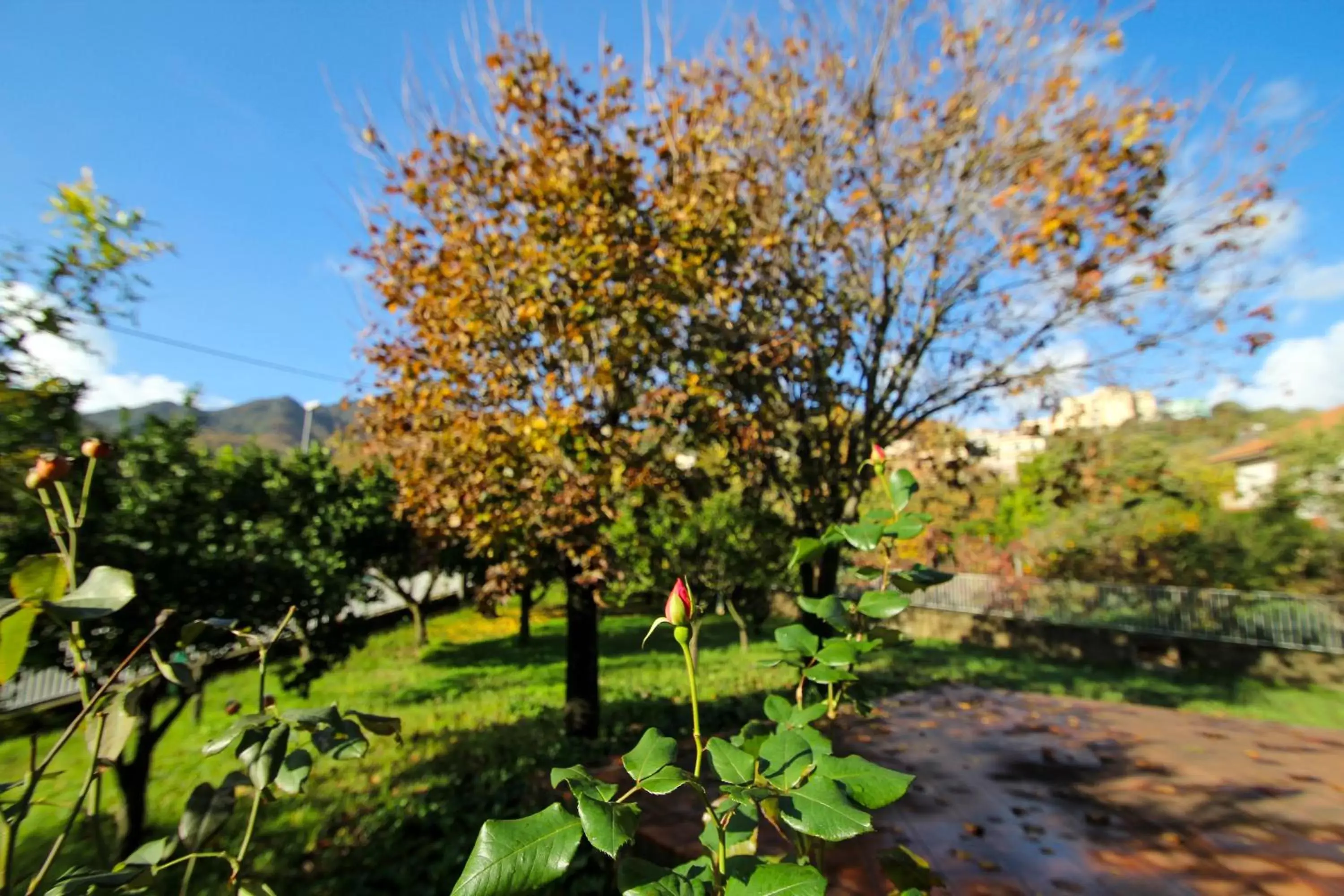 Property building, Garden in AceroRosso B&B