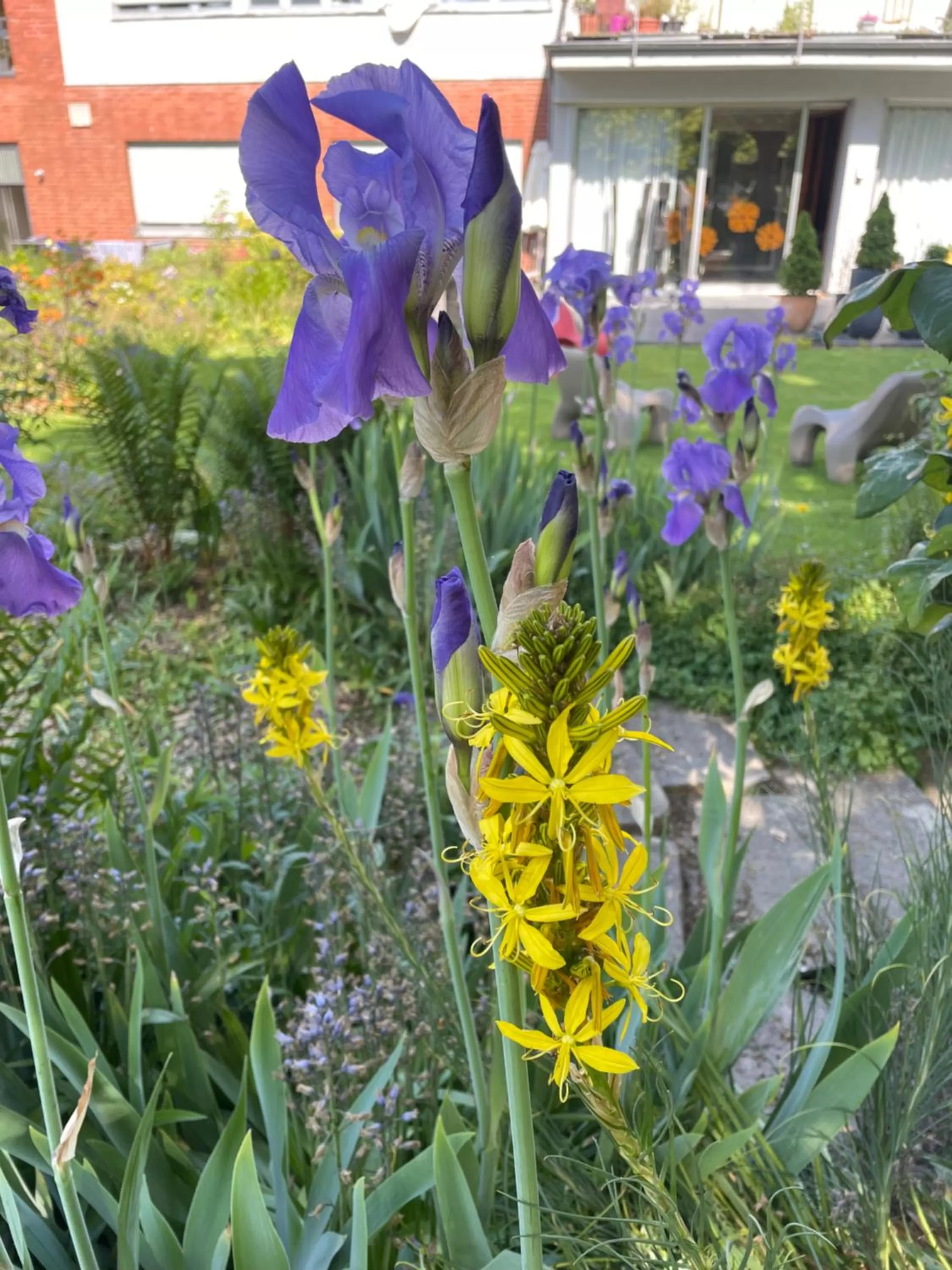 Property building in Villa V - zwischen Kultur und Natur