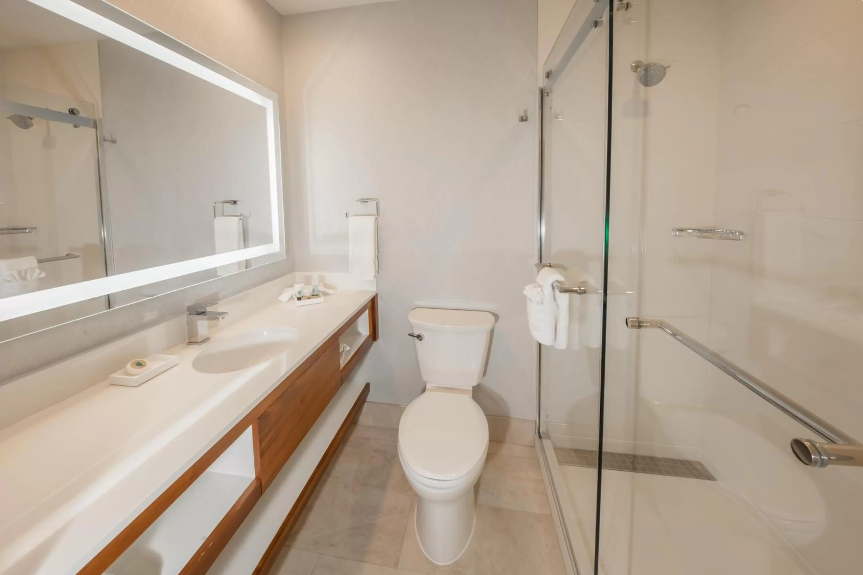 Bathroom in Pasadena Rose & Crown Hotel