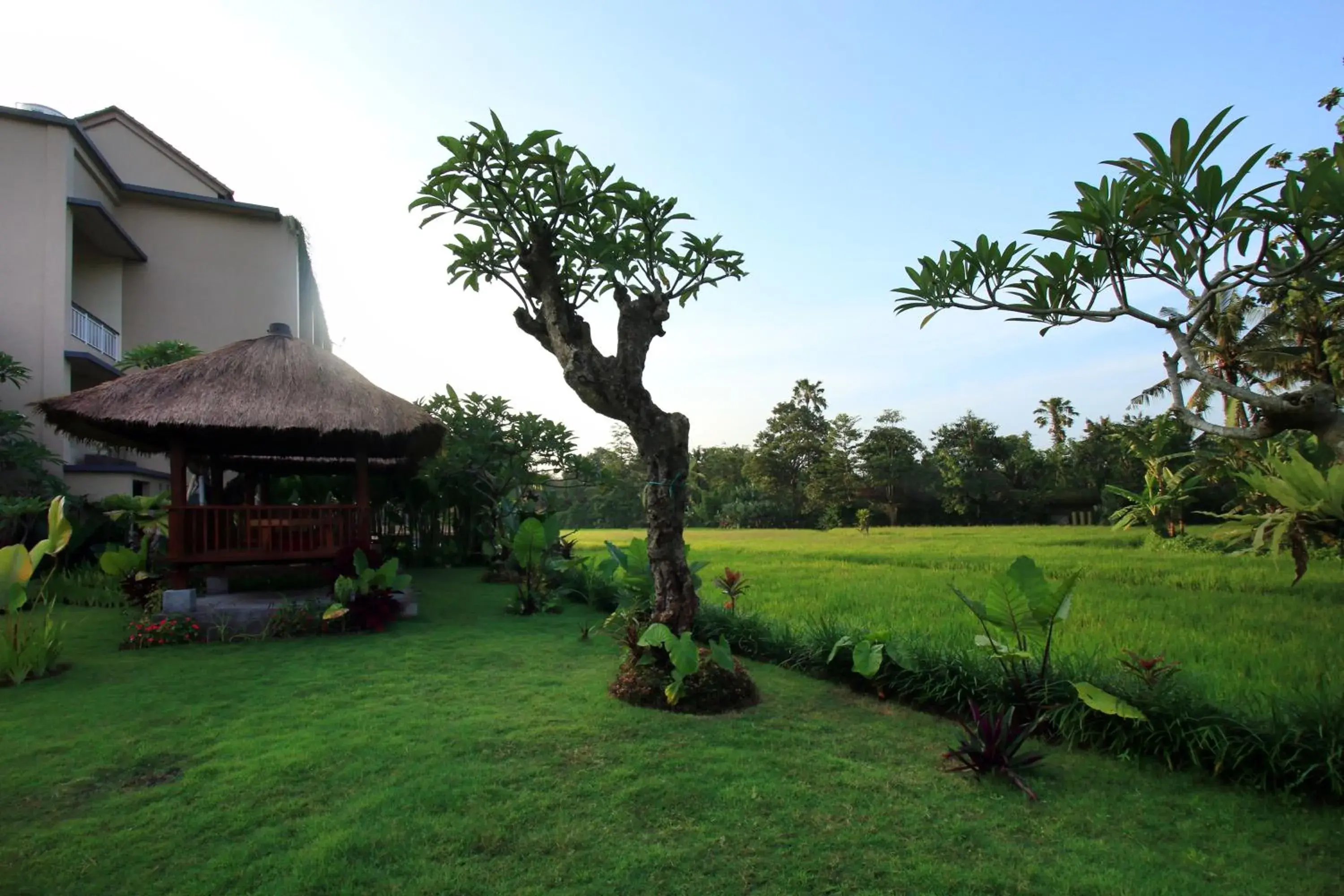 Garden view, Garden in Byasa Ubud Hotel