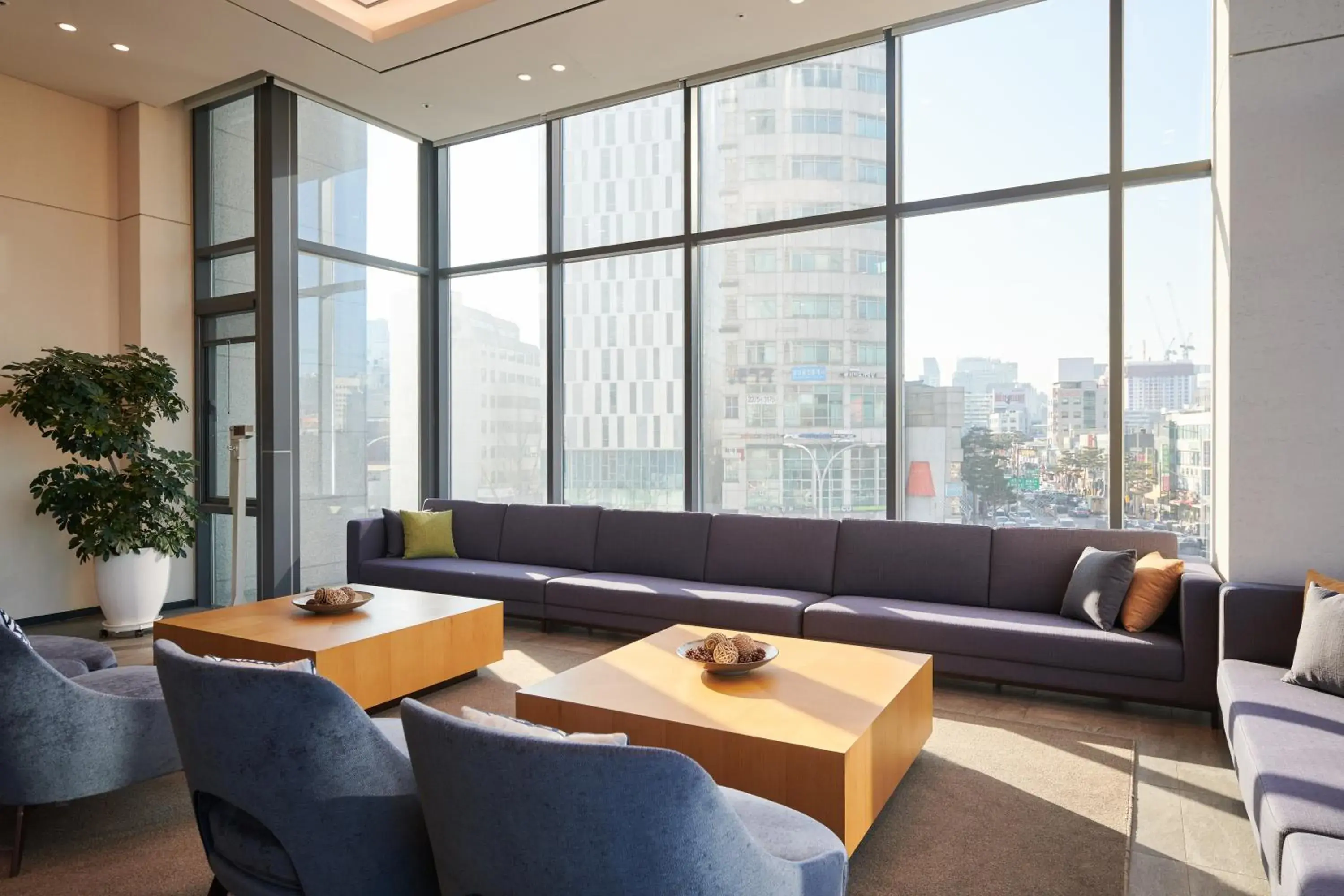 Communal lounge/ TV room, Seating Area in Nine Tree Hotel Dongdaemun