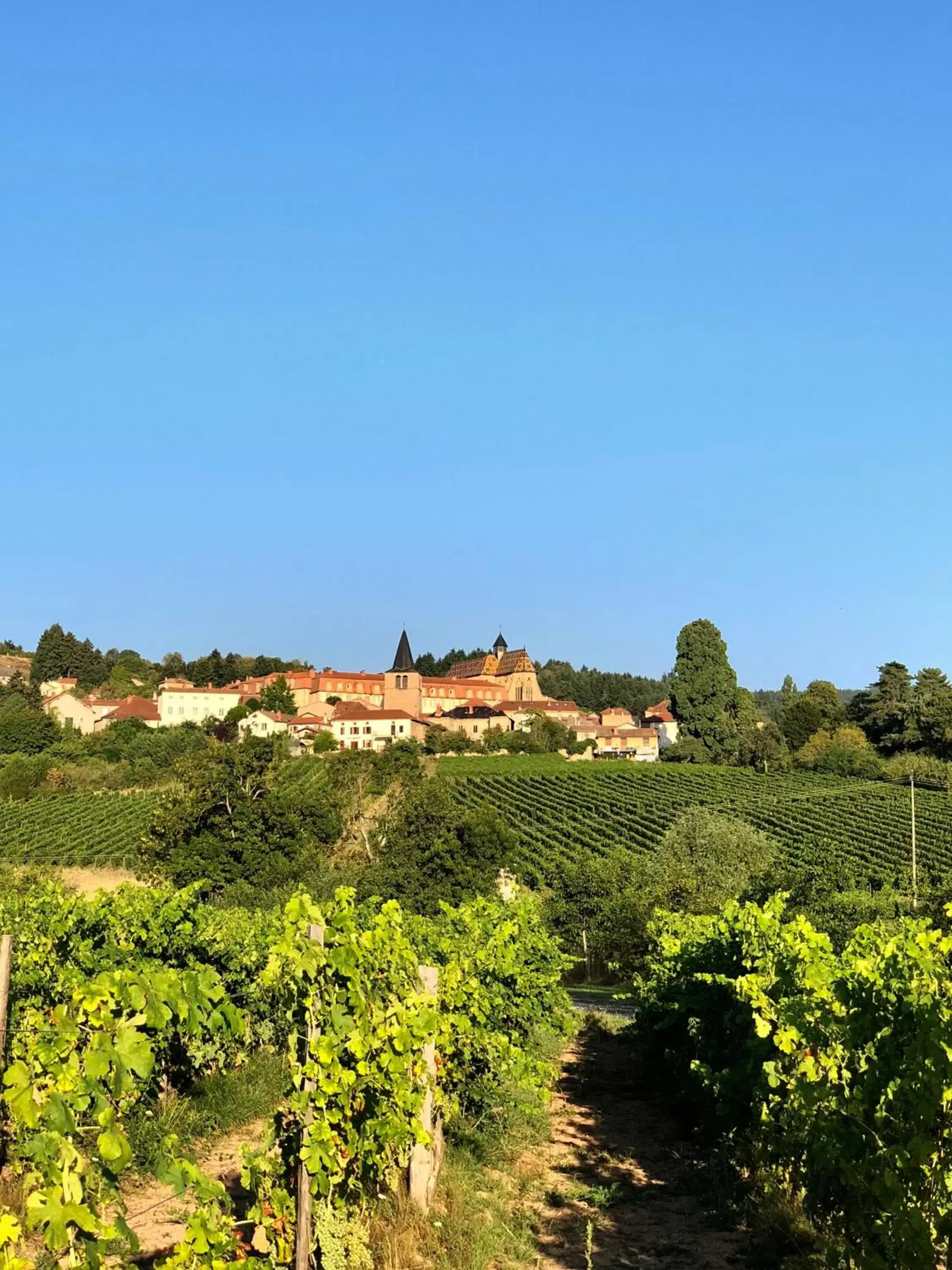 Nearby landmark in Gites Le Lancelot