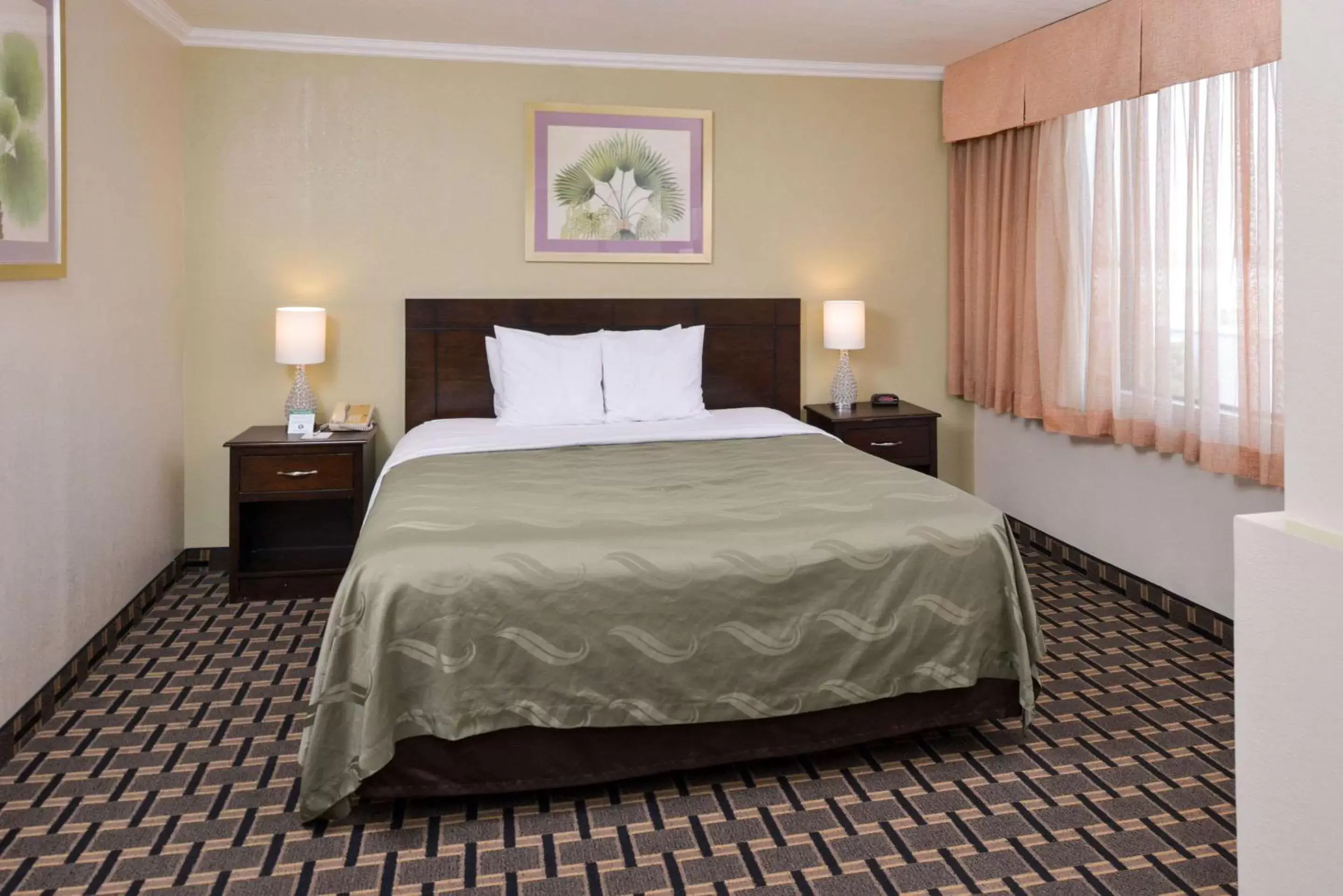 Photo of the whole room, Bed in Quality Inn & Suites Montebello - Los Angeles