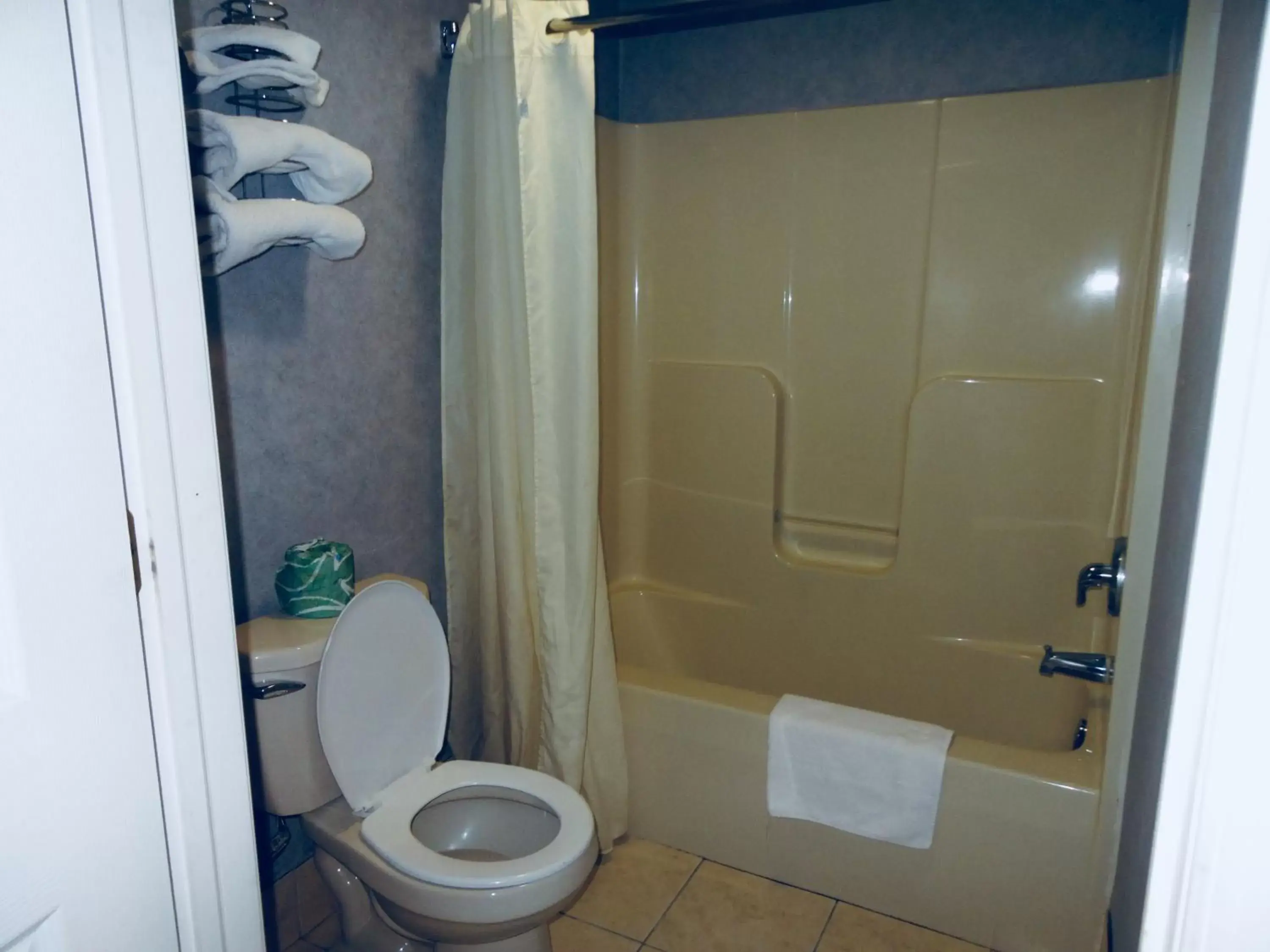 Bathroom in Village Inn & Suites - Smithville