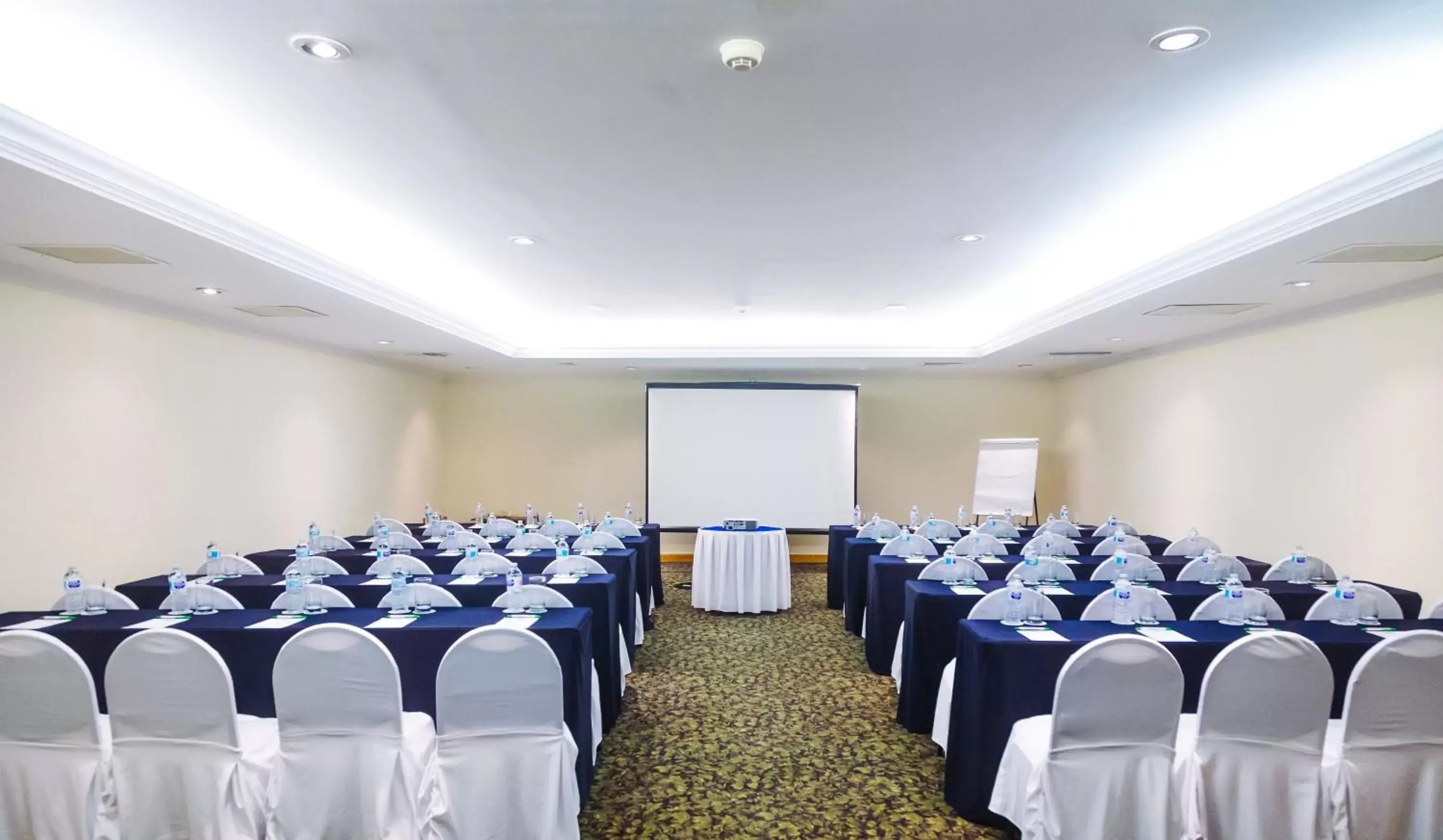 Meeting/conference room in Royal Solaris Los Cabos-All Inclusive