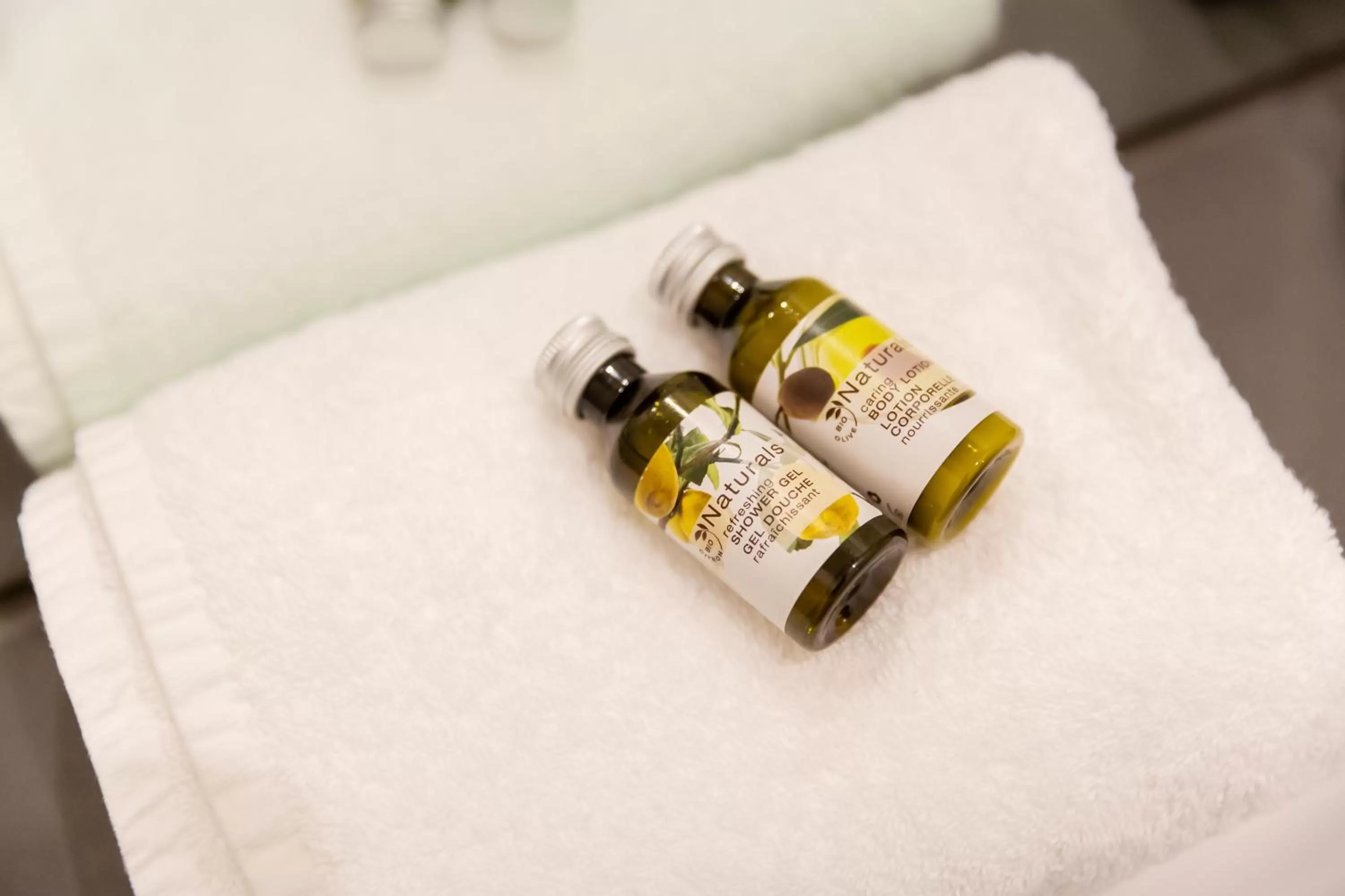 Other in Parkhotel FRITZ am Brunnen